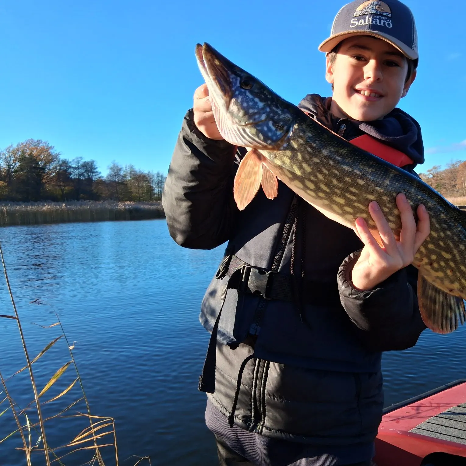 Northern pike caught on Fishbrain