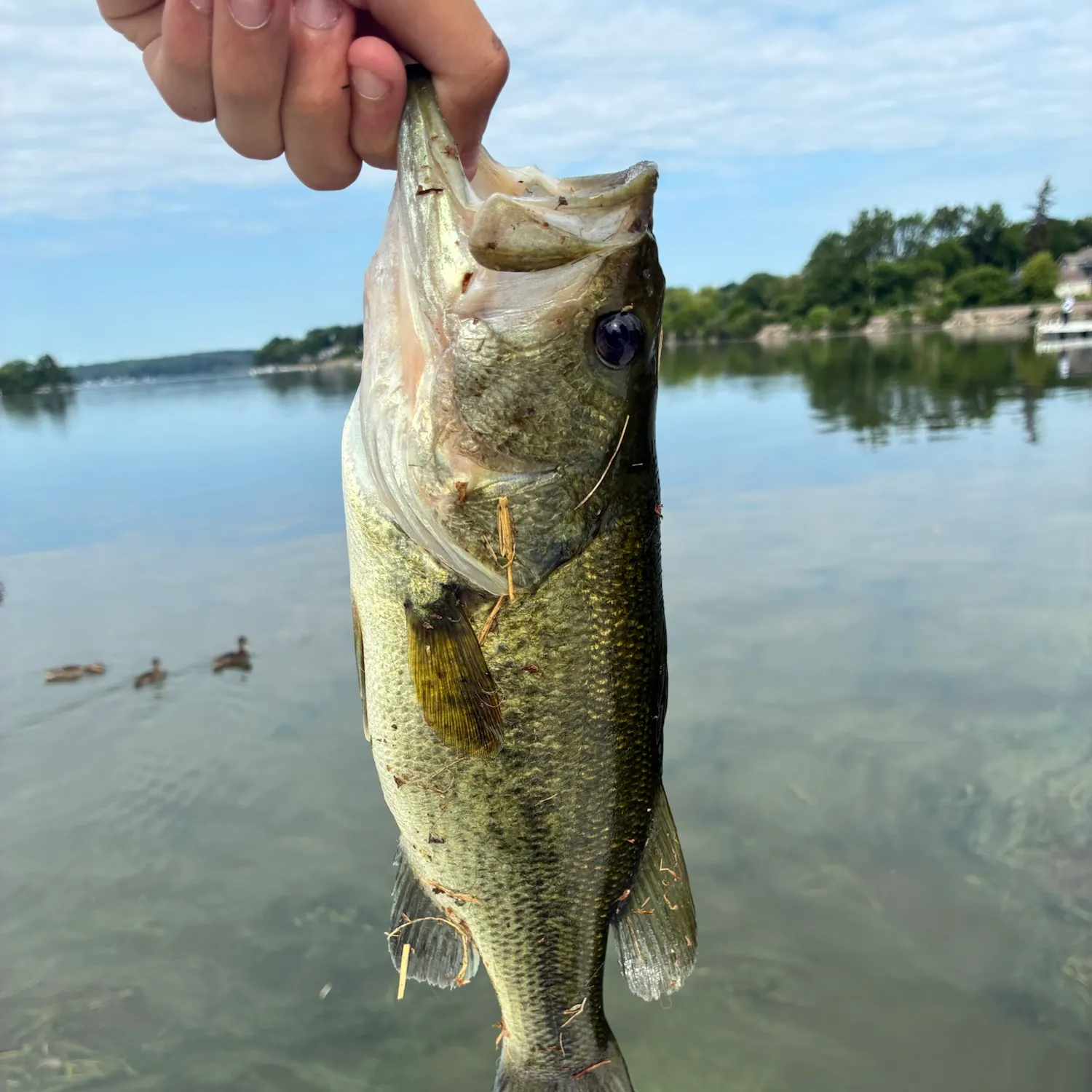 catch