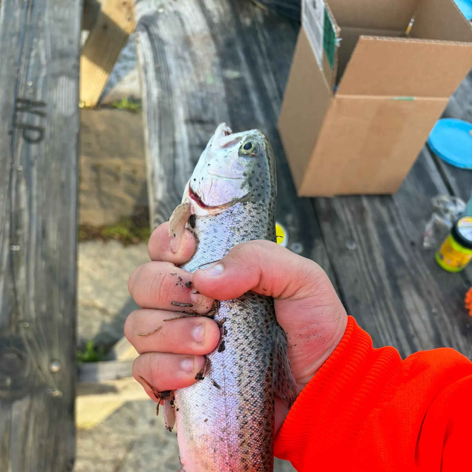 catch