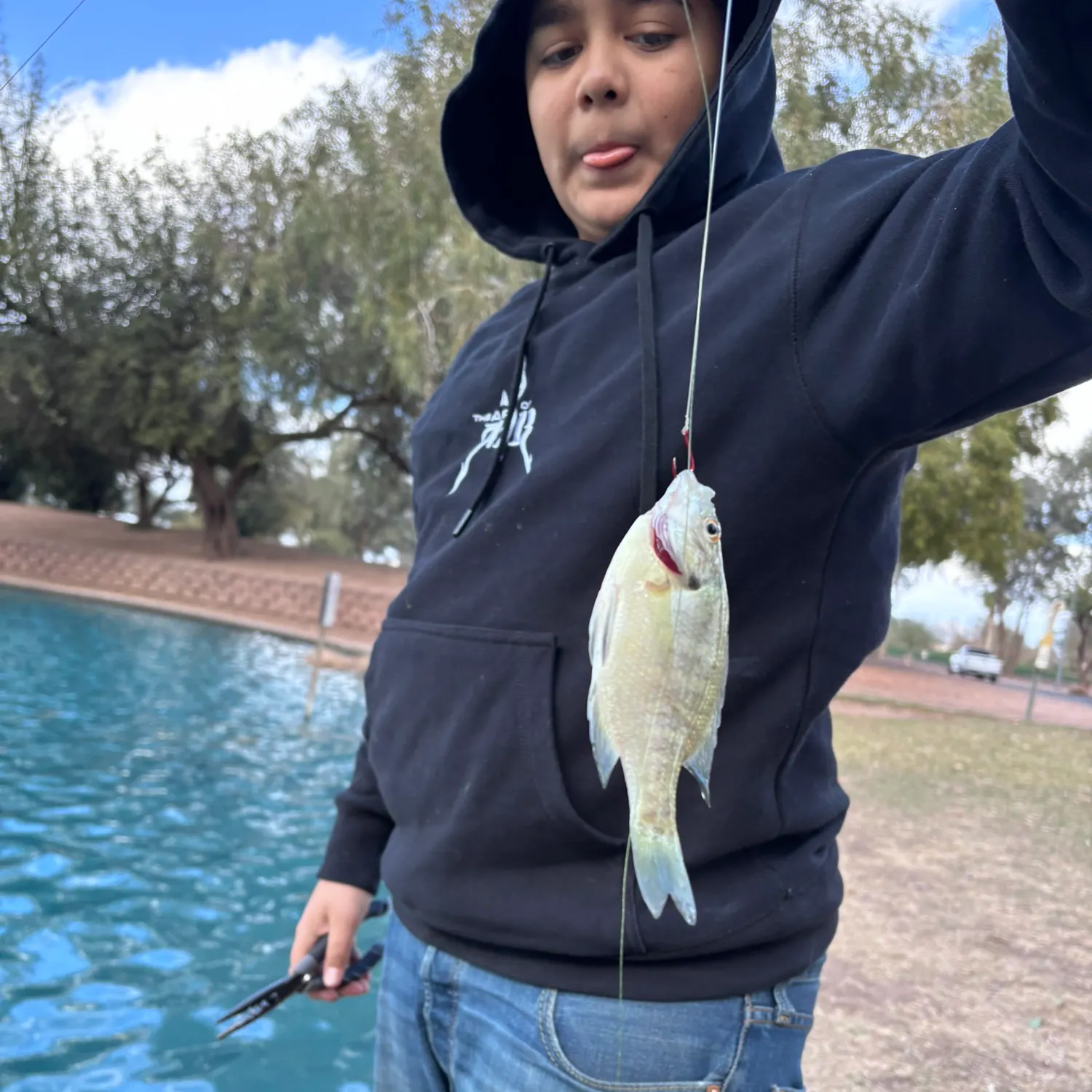 The most recent Bluegill catches on Fishbrain