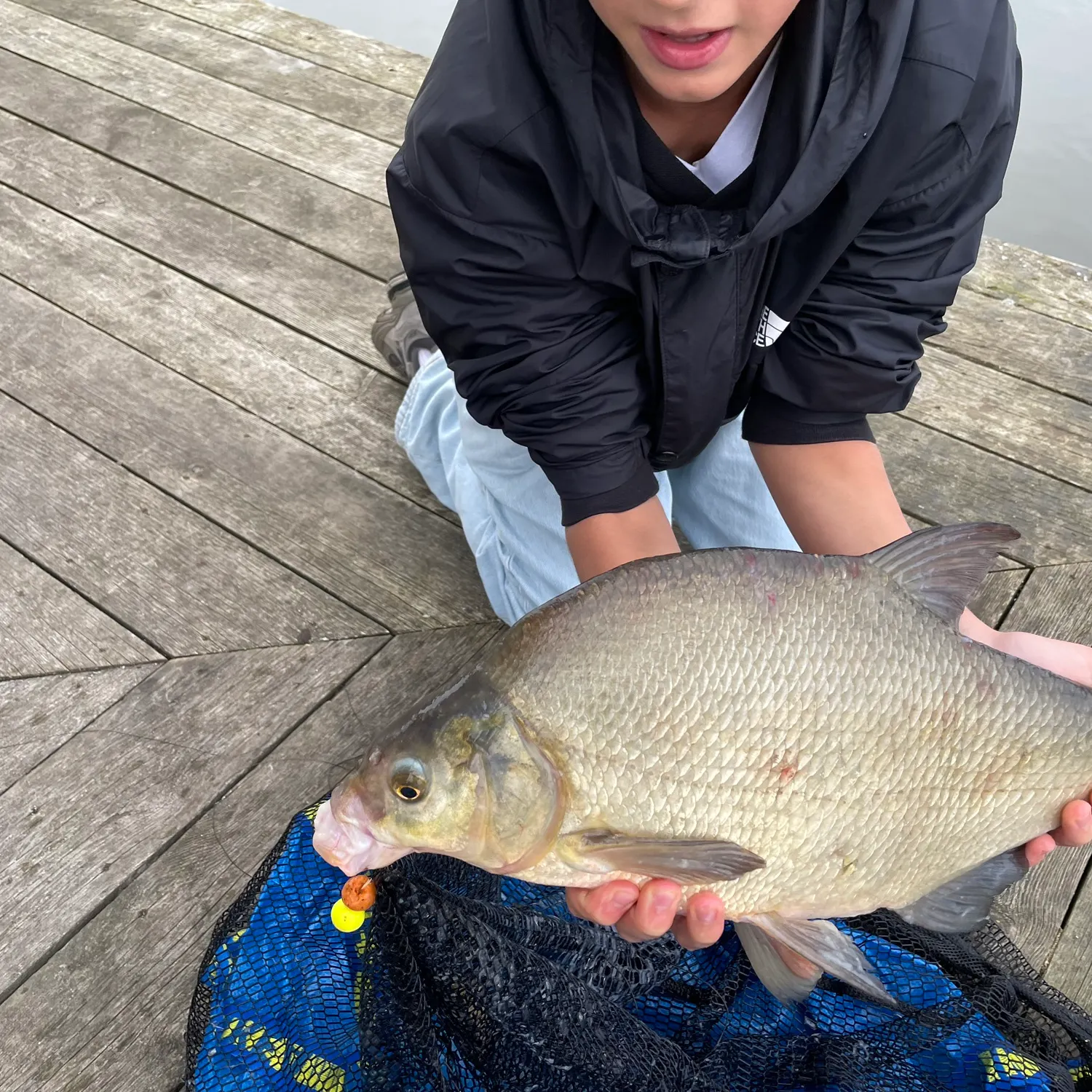 Common bream caught on Fishbrain