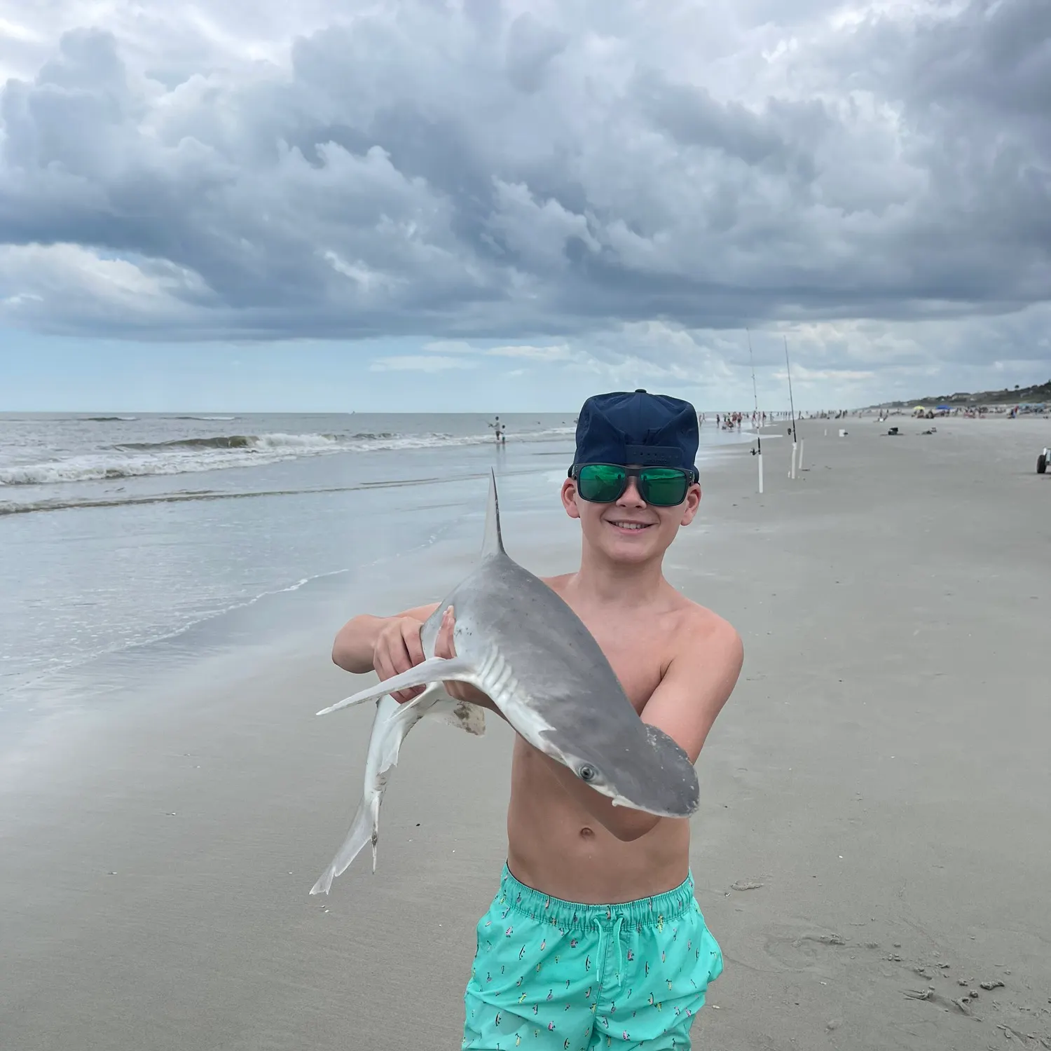 The most recent Bonnethead shark catches on Fishbrain