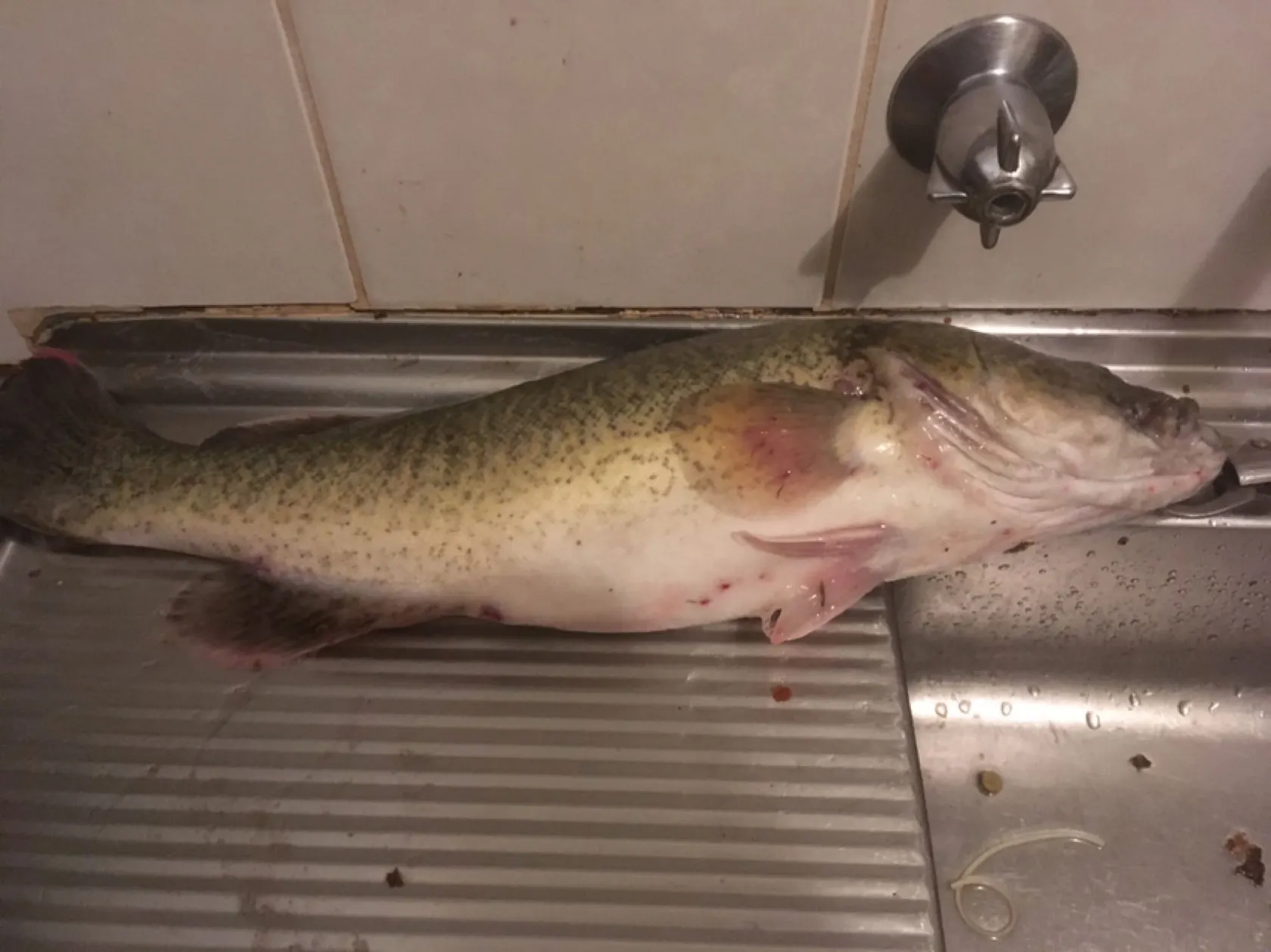 Post image from Dennism1