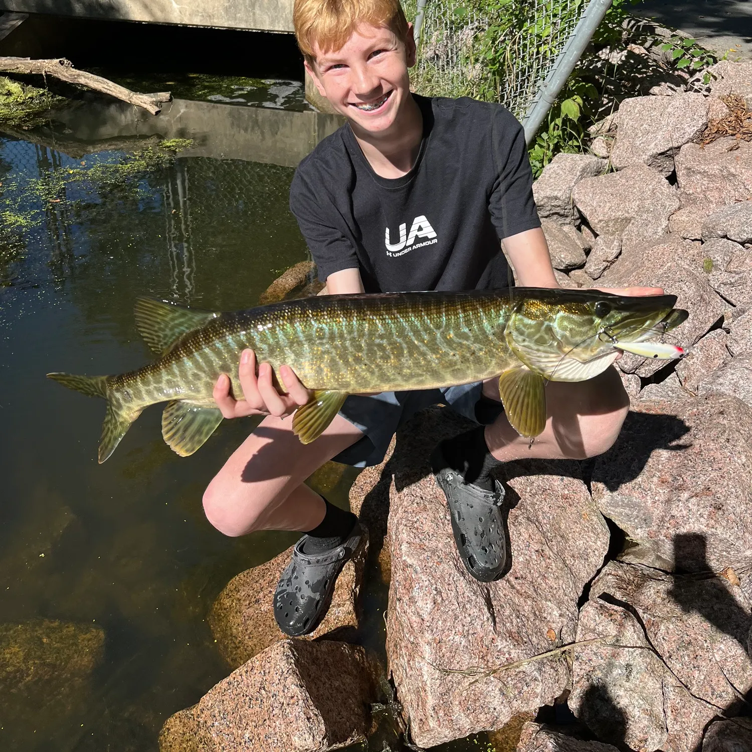 The most recent Tiger muskellunge catches on Fishbrain
