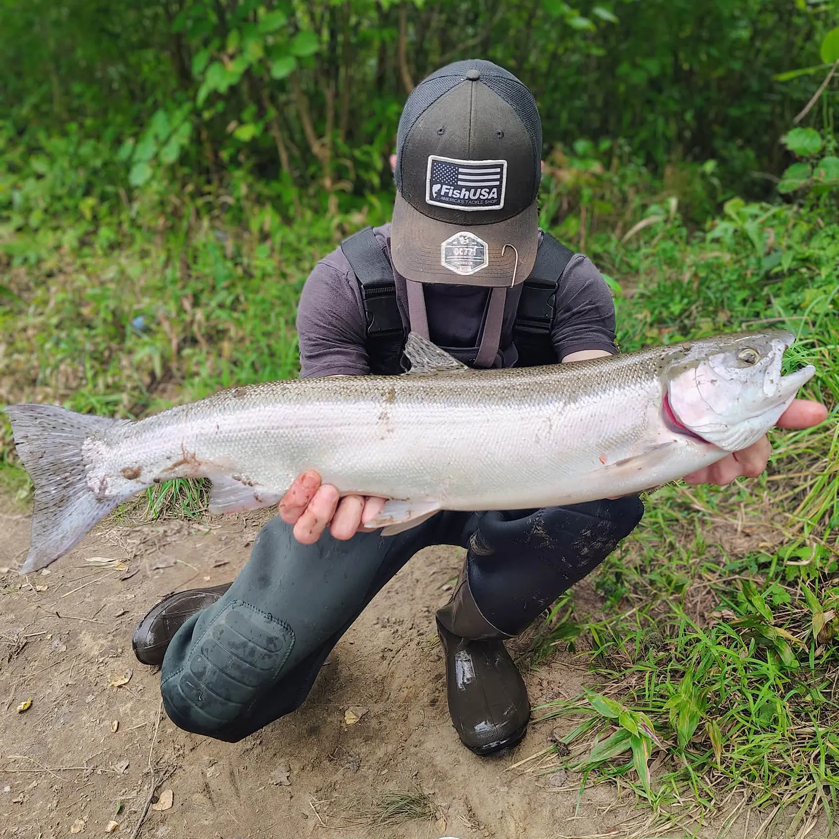 Steelhead caught on Fishbrain