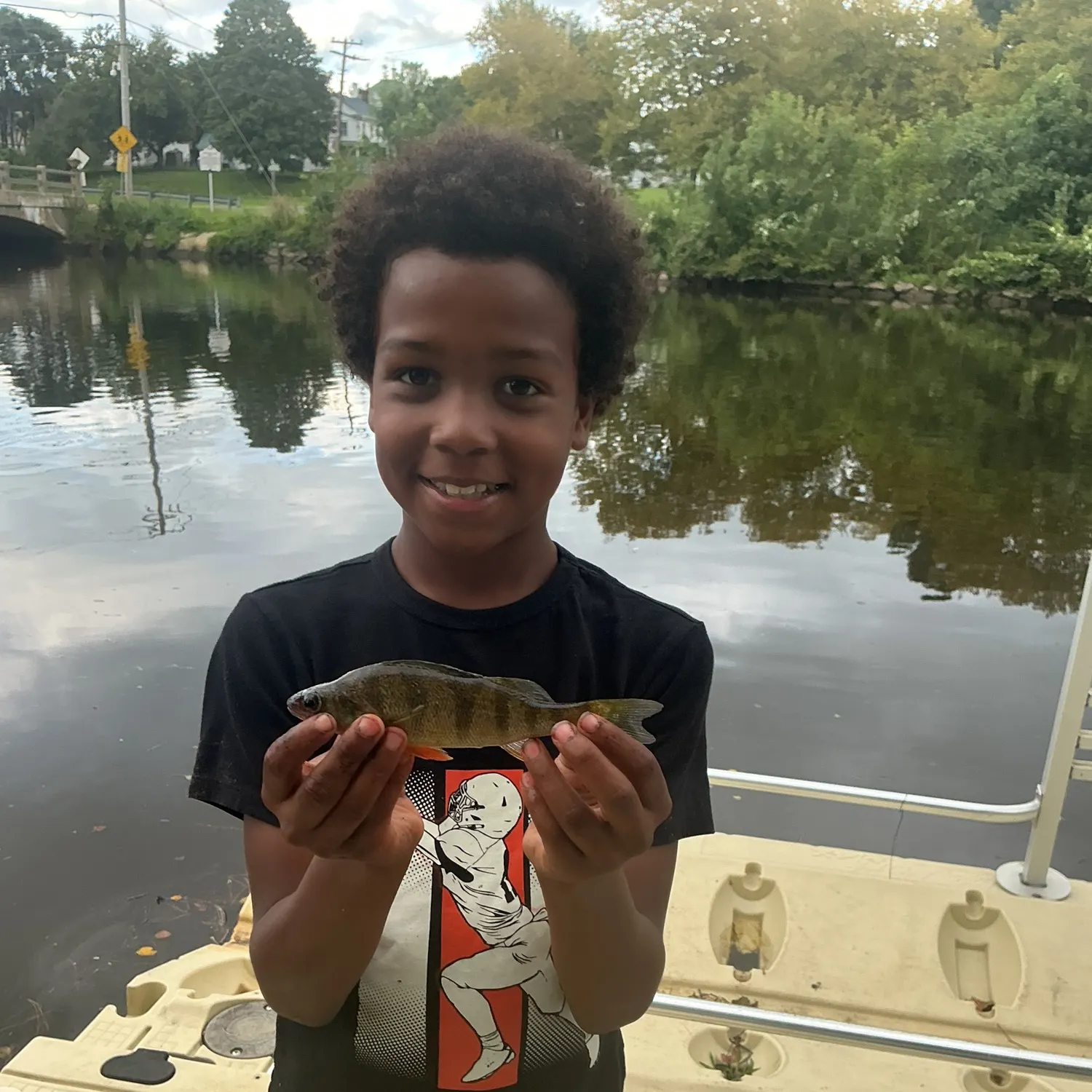 Yellow perch caught on Fishbrain