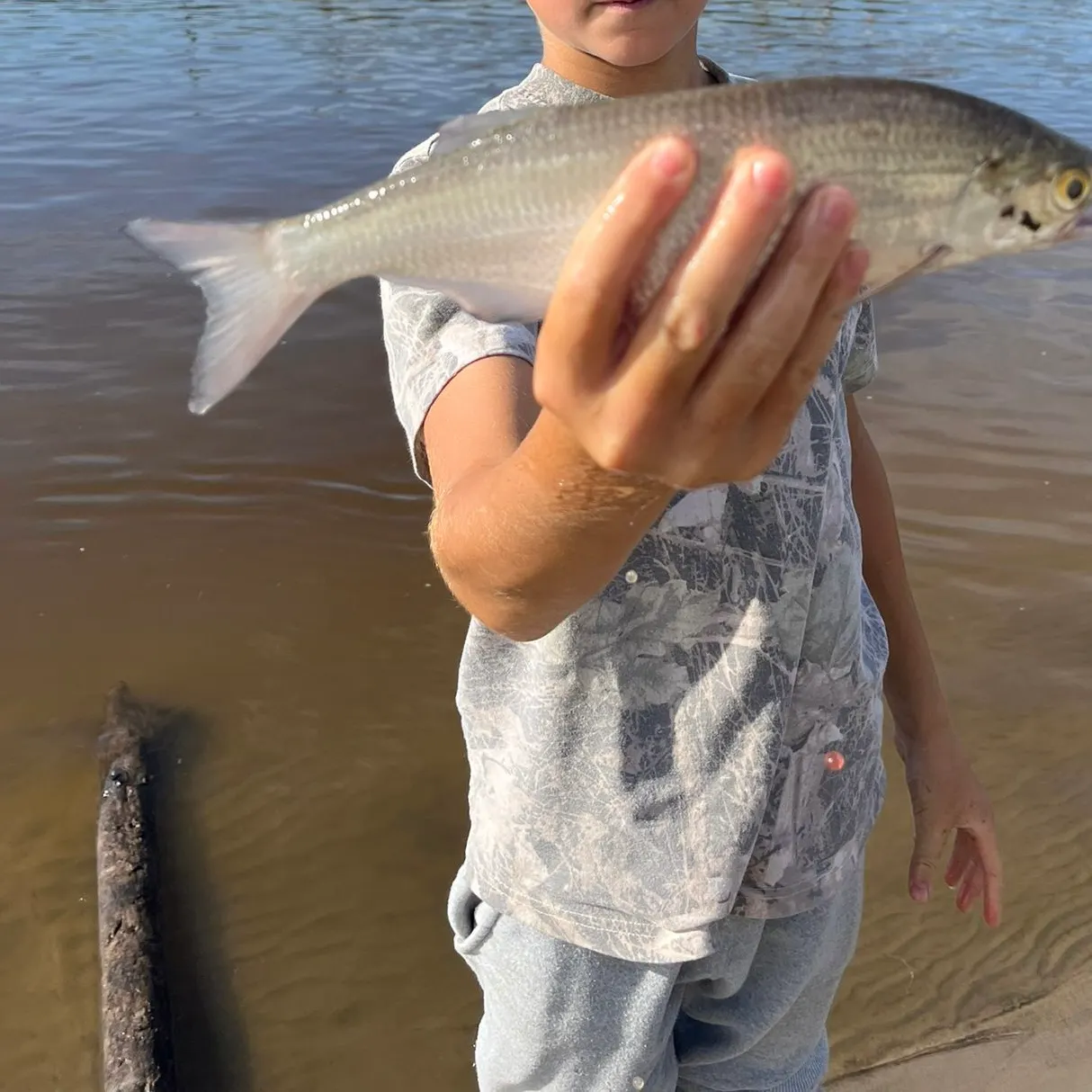 Goldeye caught on Fishbrain