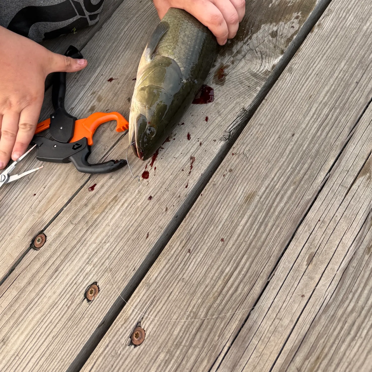 catch
