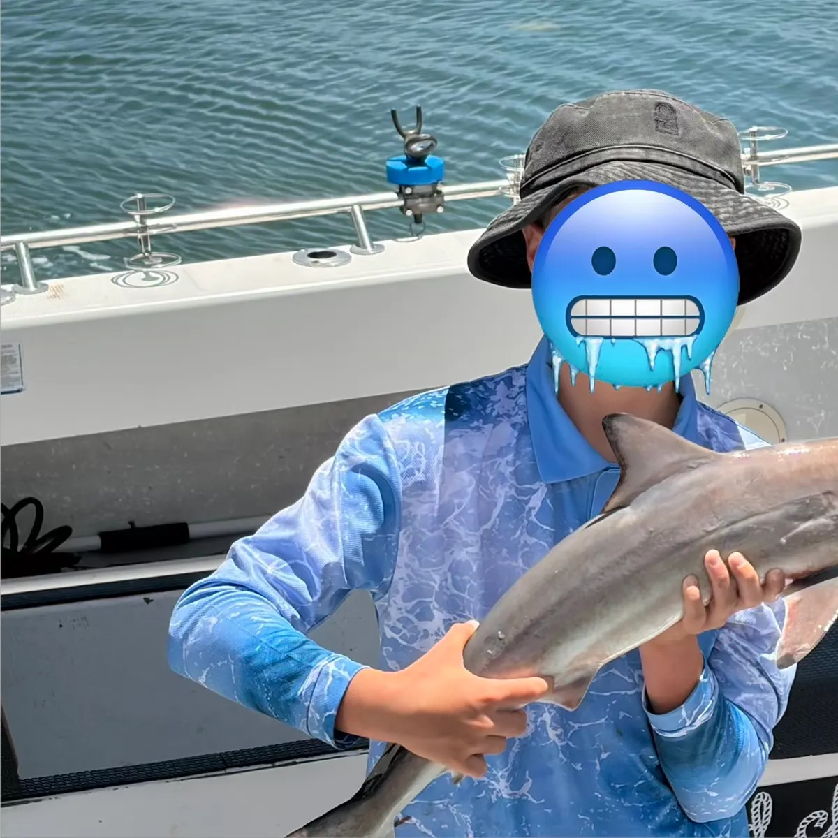 The most recent Blacktip shark catches on Fishbrain