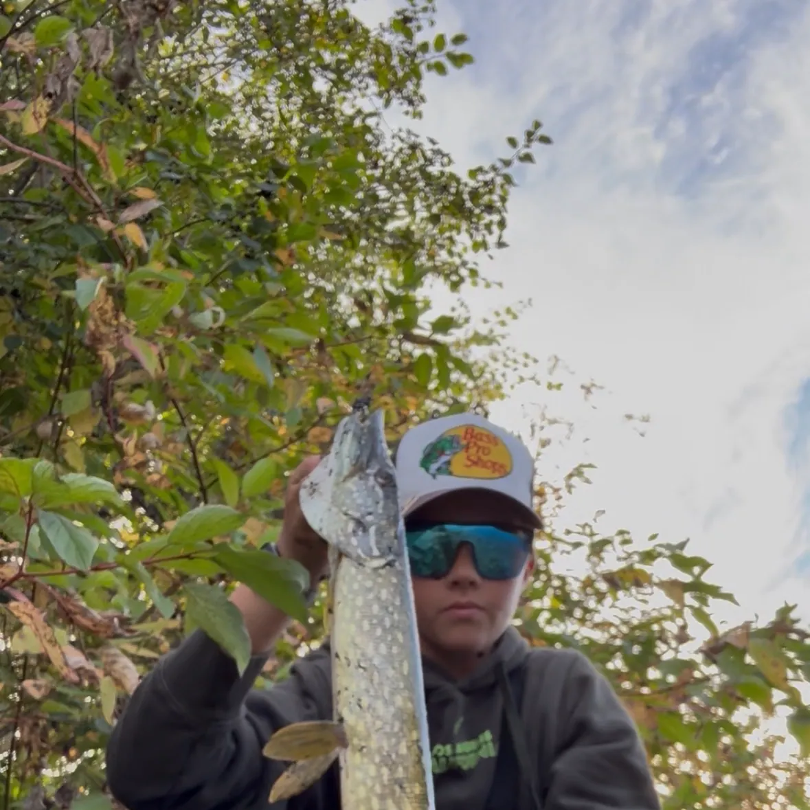 Northern pike caught on Fishbrain