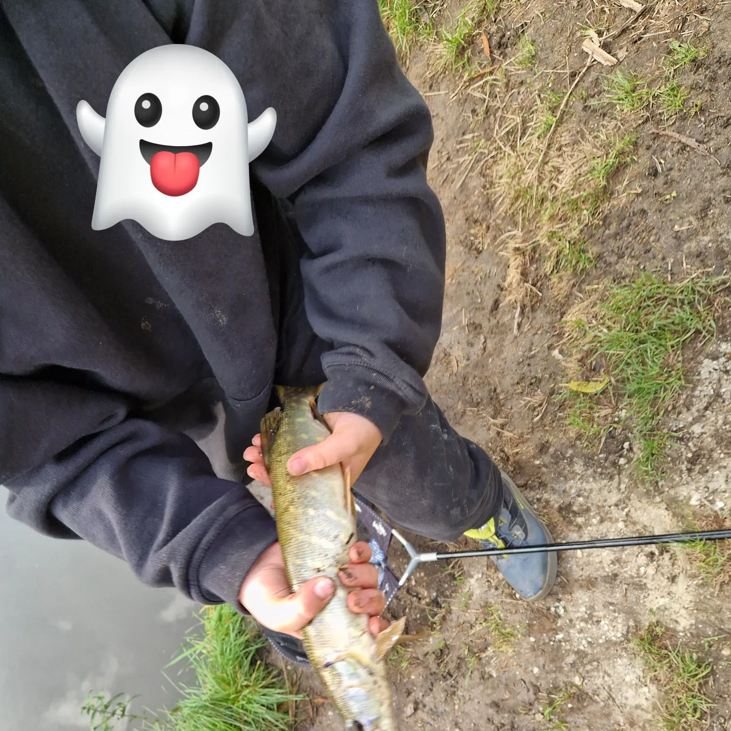 Northern pike caught on Fishbrain