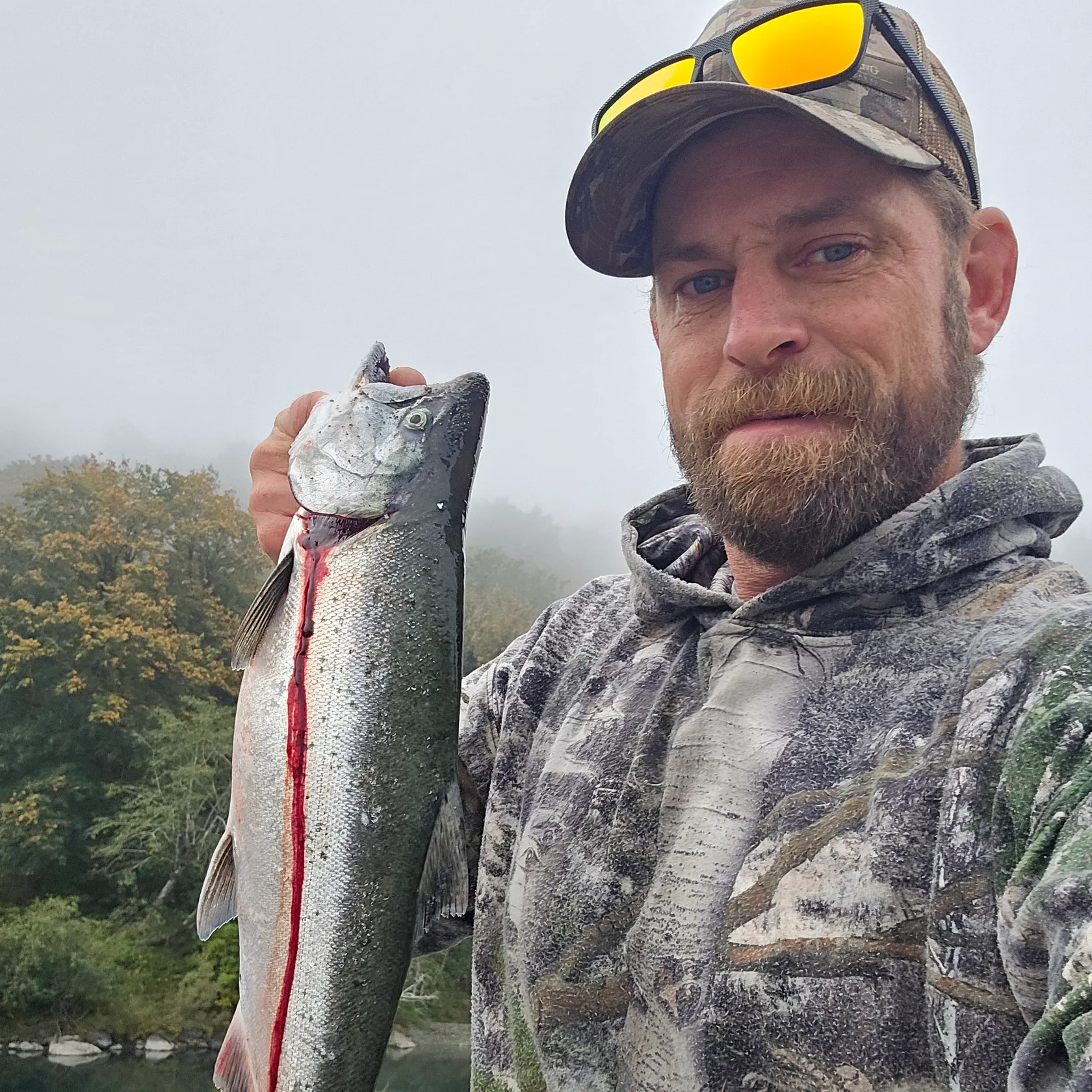 Chinook salmon caught on Fishbrain