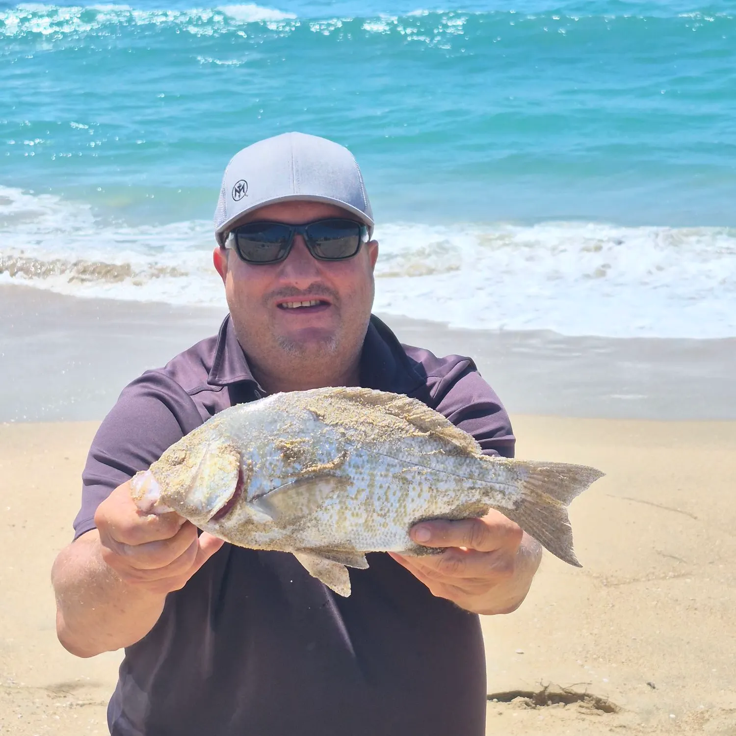 The most recent Barred surfperch catches on Fishbrain
