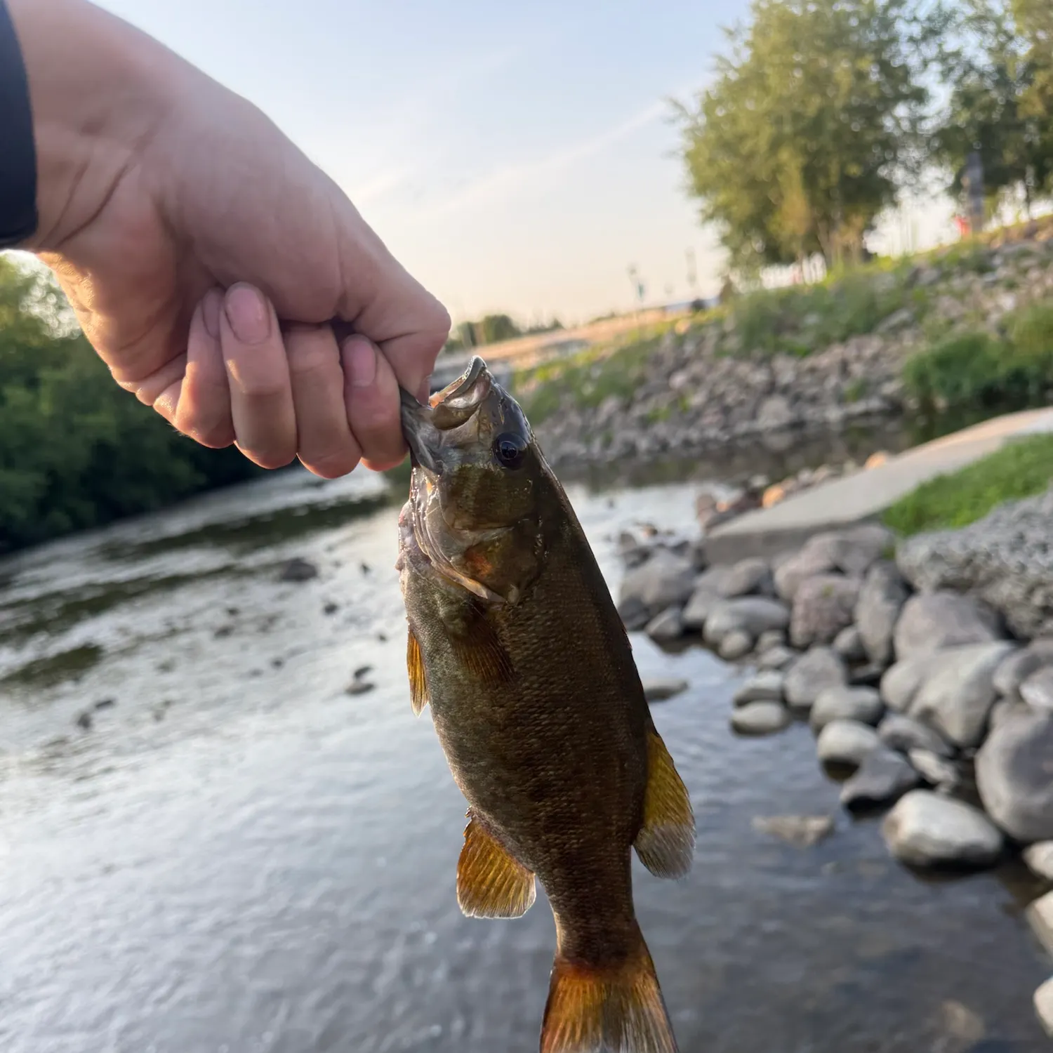 catch