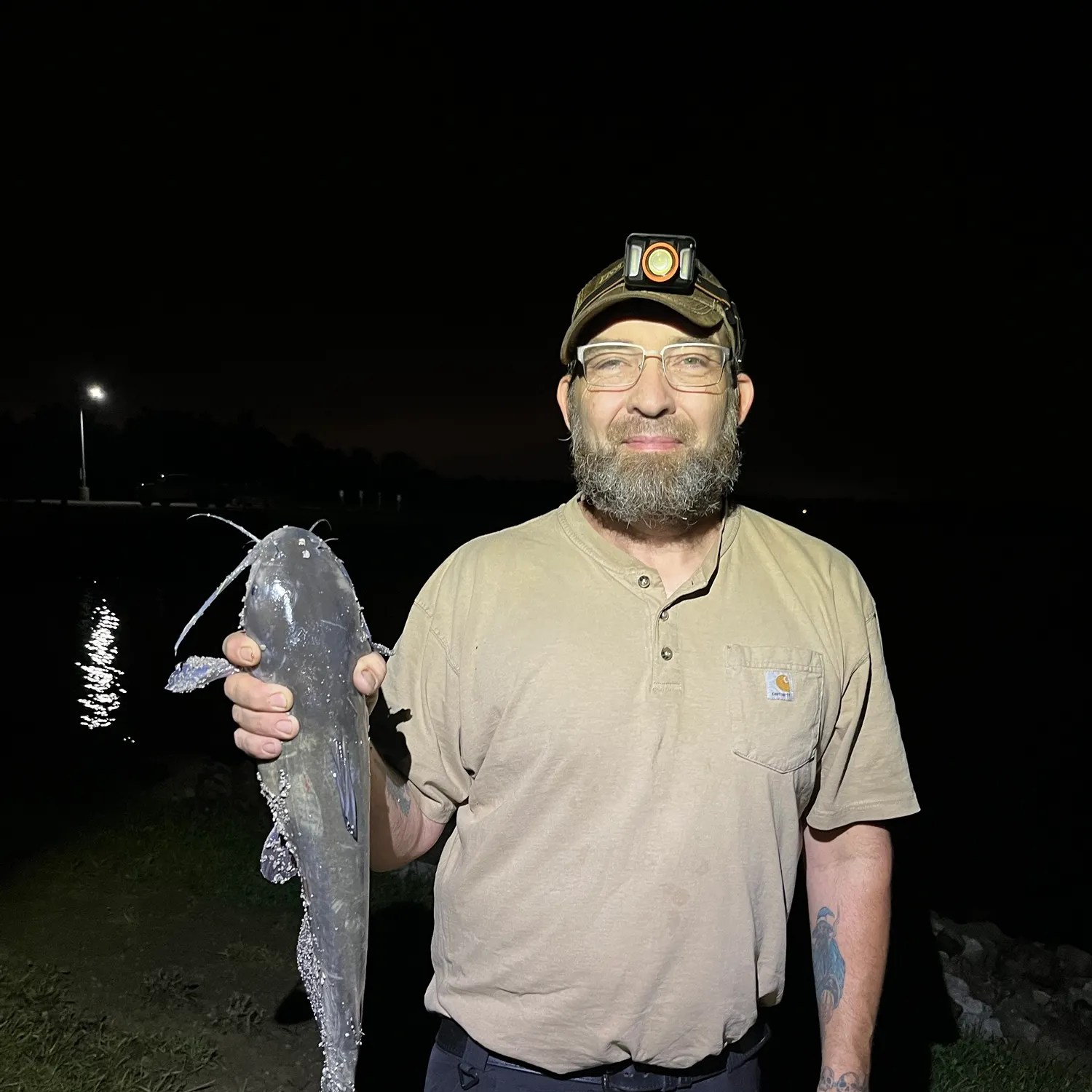 Channel catfish caught on Fishbrain