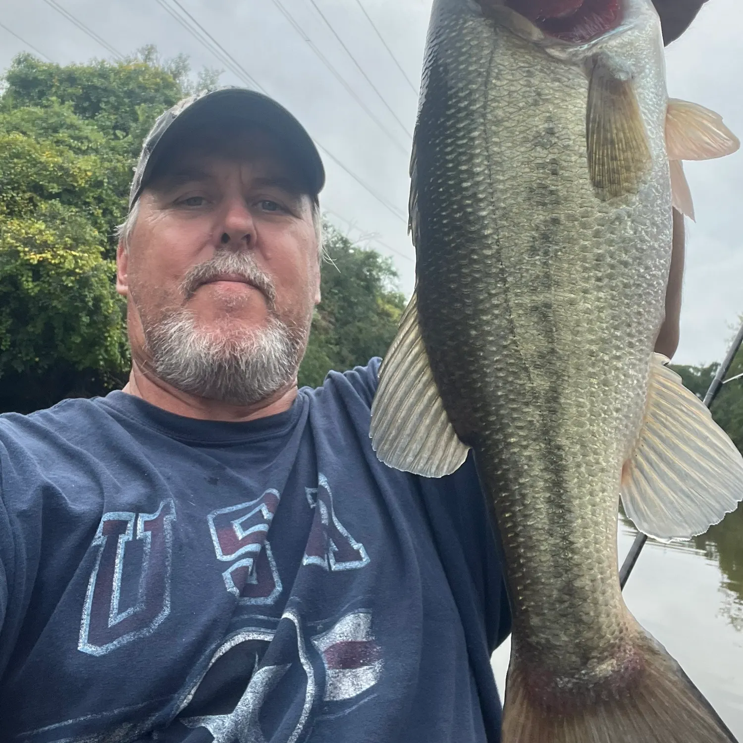 Largemouth bass caught on Fishbrain