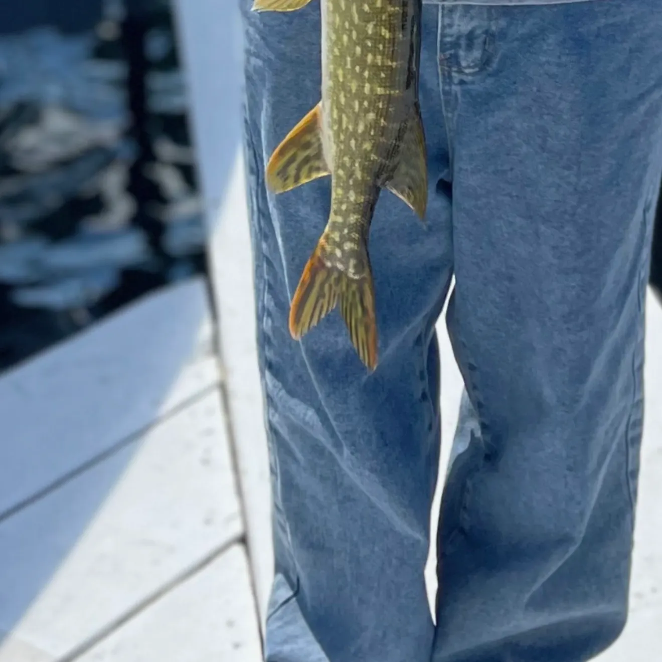 The most recent Northern pike catches on Fishbrain