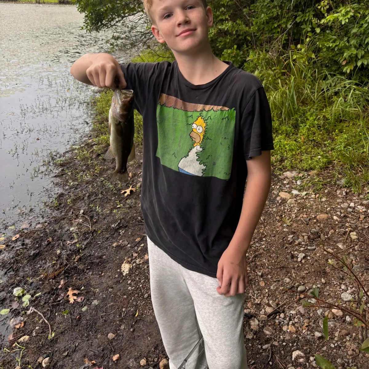 Largemouth bass caught on Fishbrain