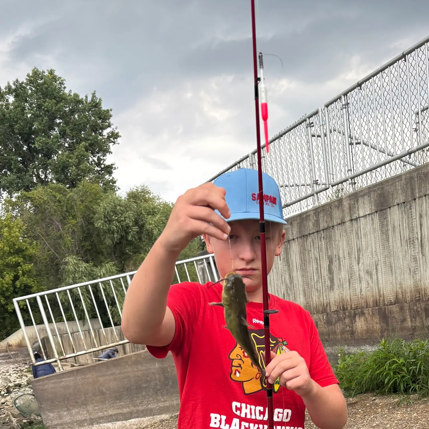 Yellow bullhead caught on Fishbrain