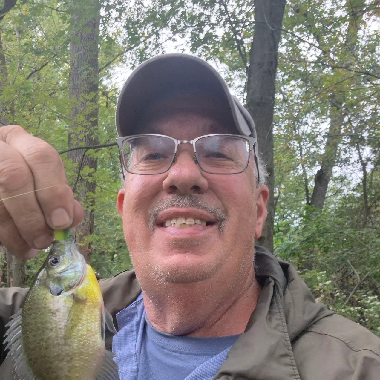 Bluegill caught on Fishbrain