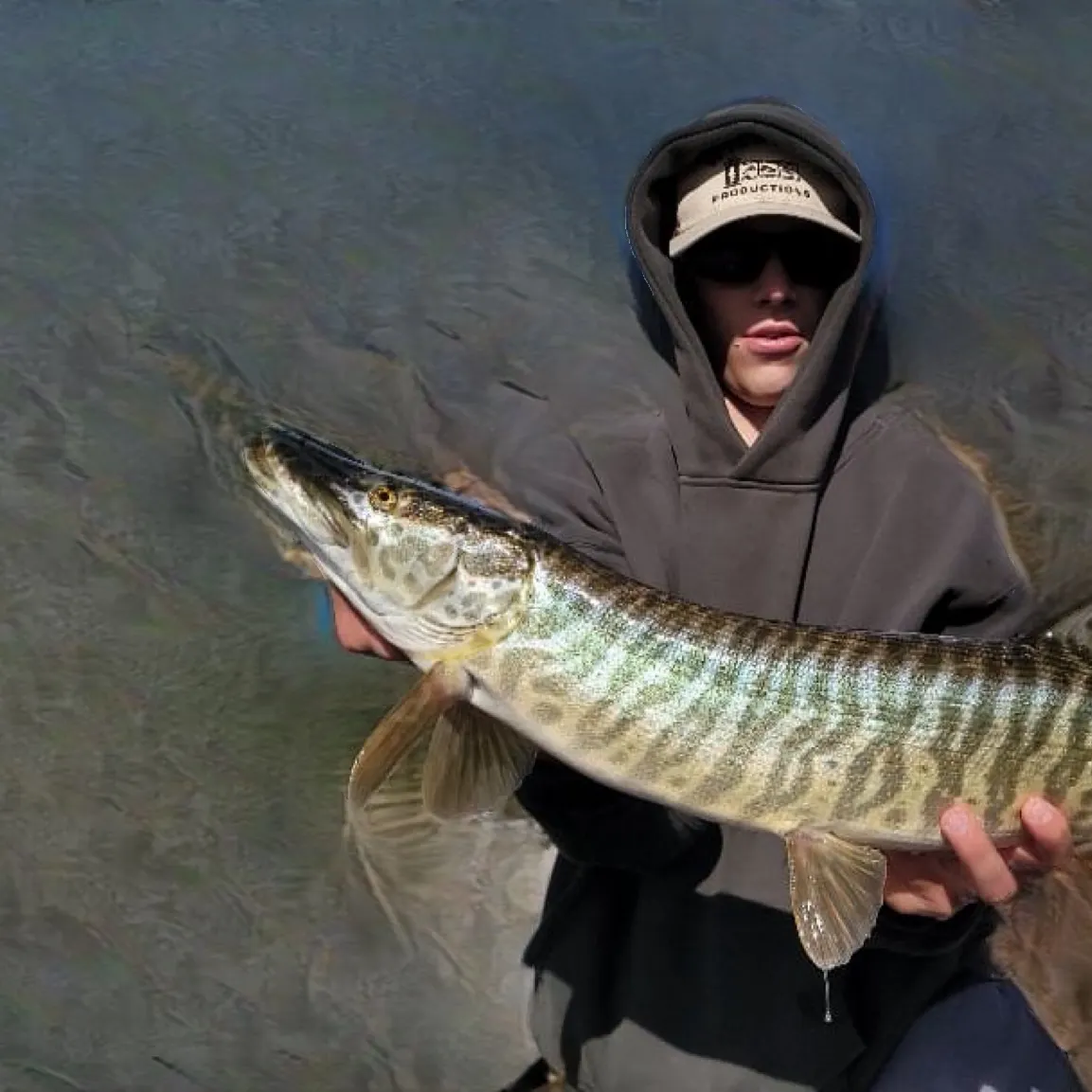 Tiger muskie caught on Fishbrain