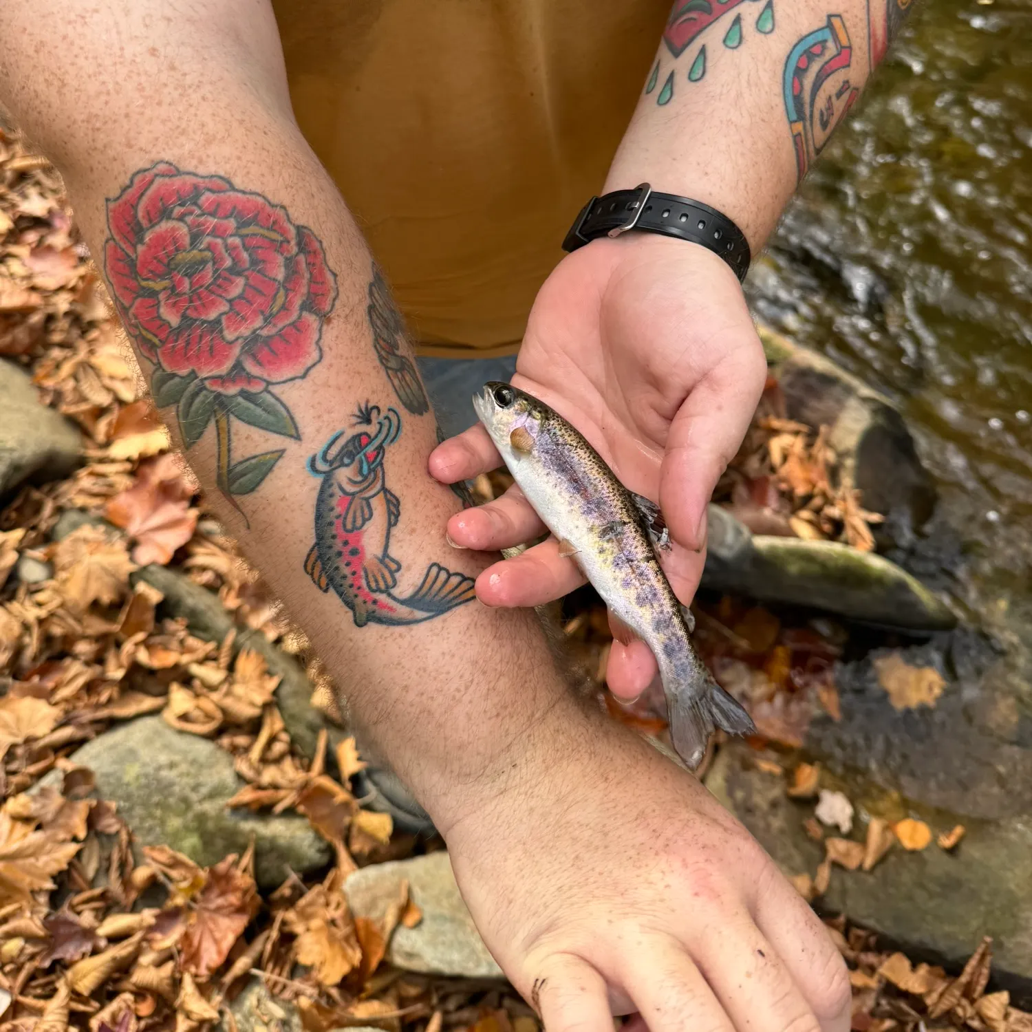 recently logged catches
