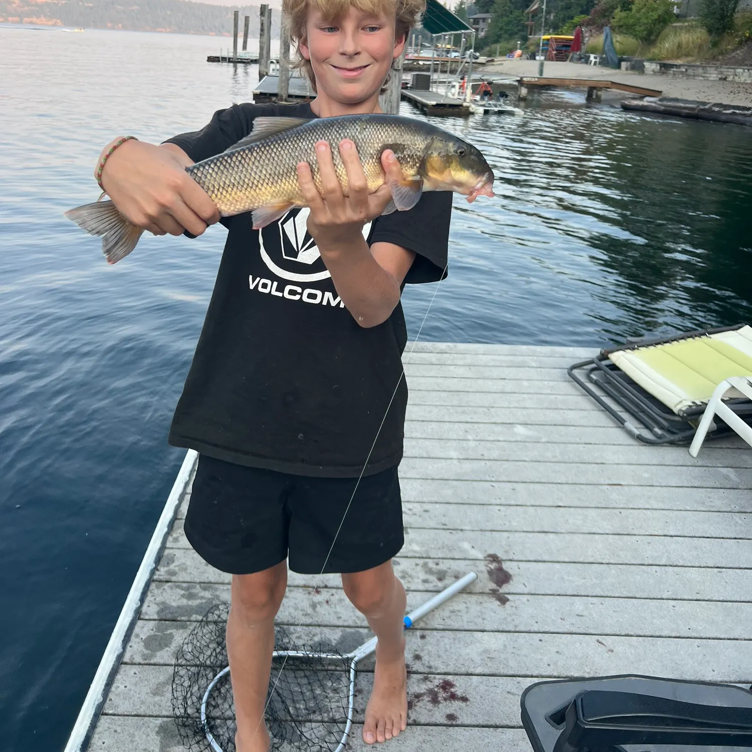Grass carp caught on Fishbrain