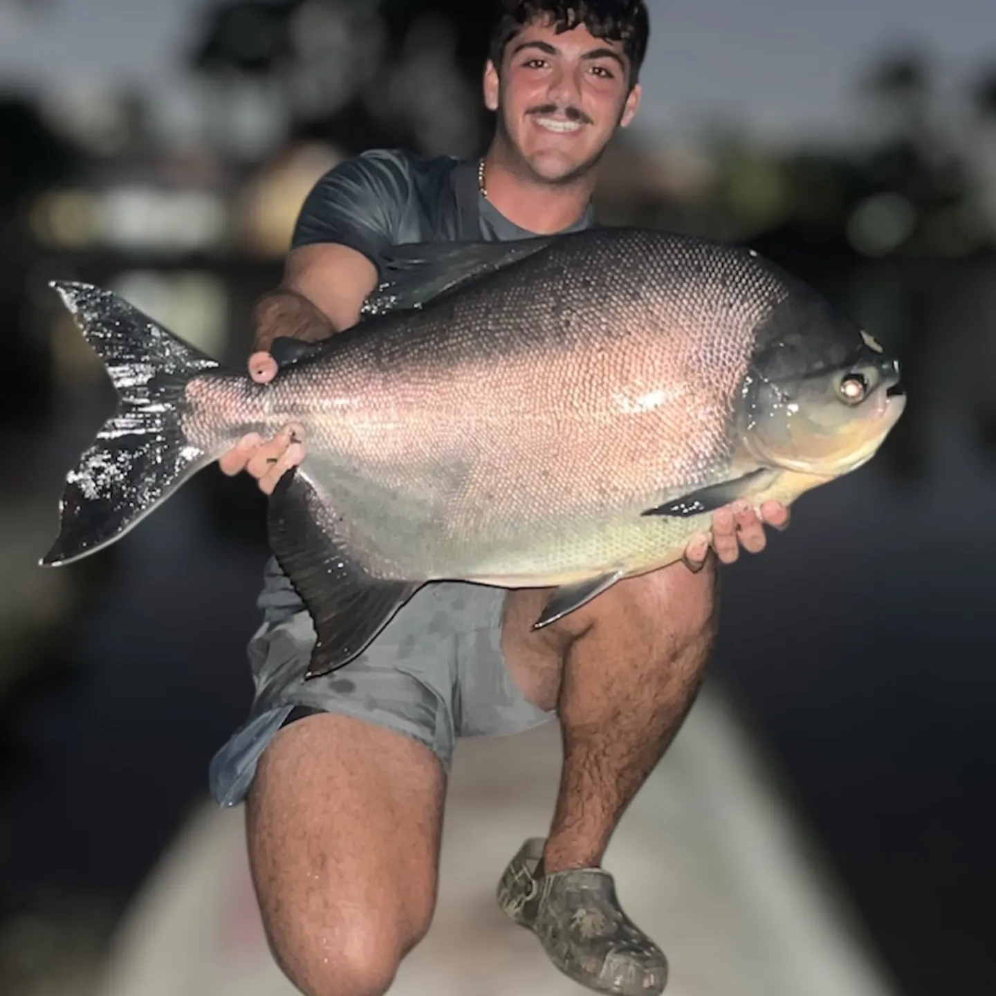 The most recent Small-scaled pacu catches on Fishbrain