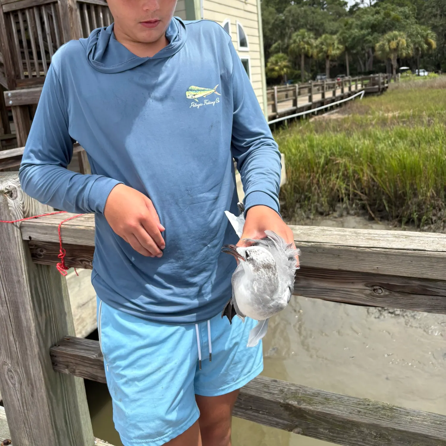Fish caught on Fishbrain