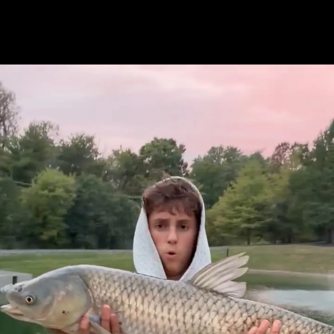 Grass carp caught on Fishbrain
