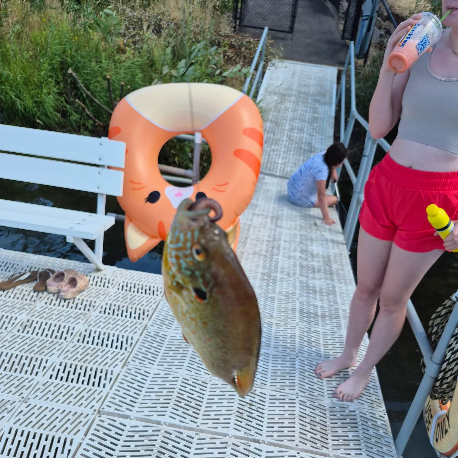 catch