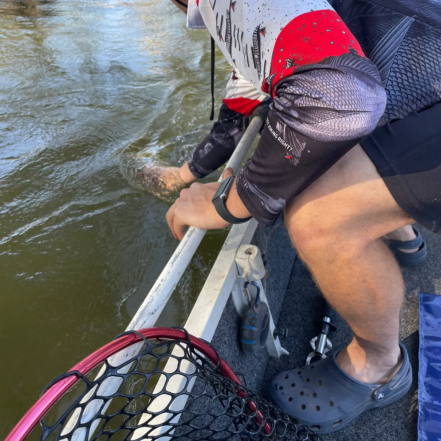 The most recent Murray cod catches on Fishbrain
