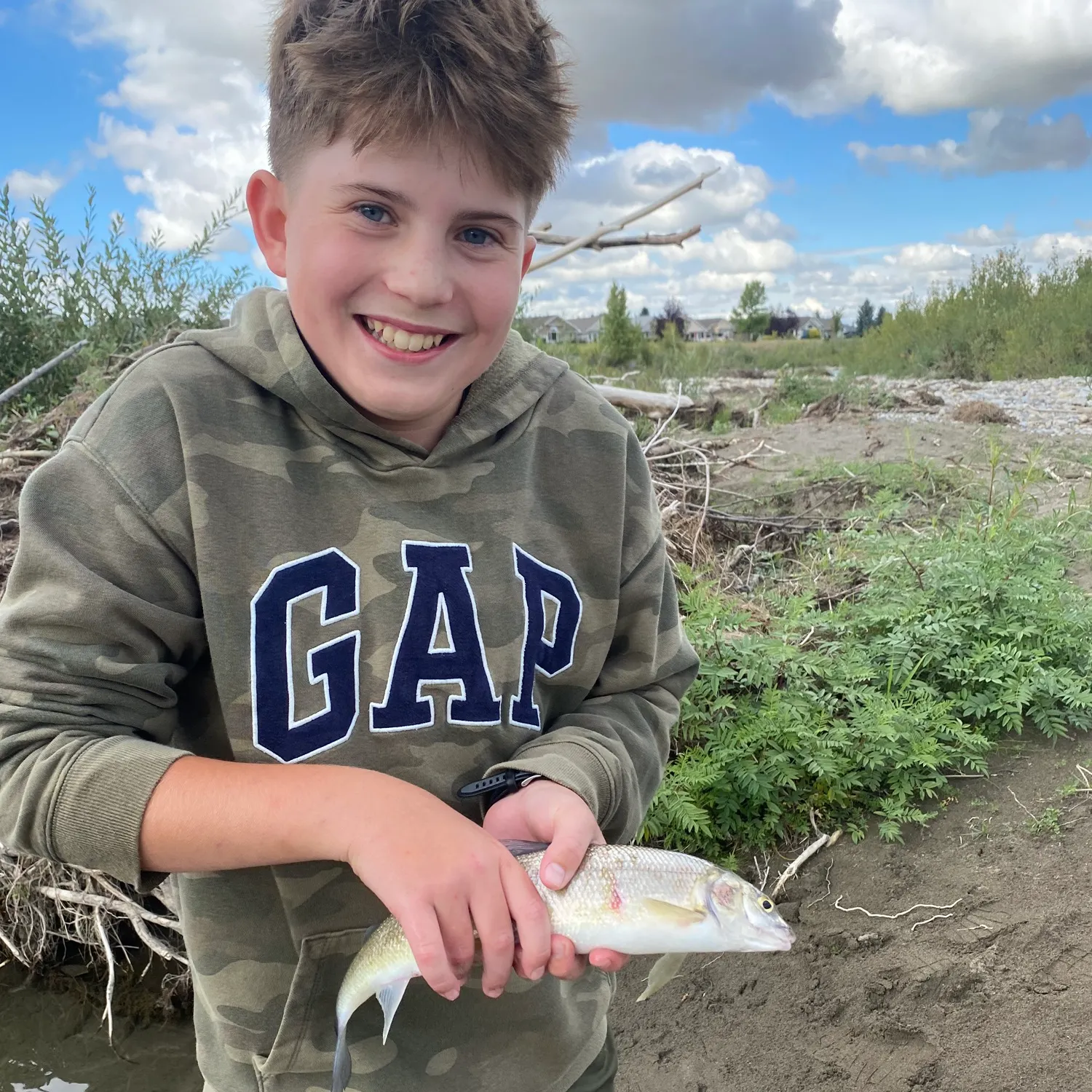 White sucker caught on Fishbrain