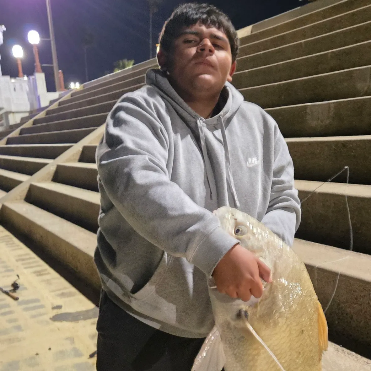 The most recent Black drum catches on Fishbrain