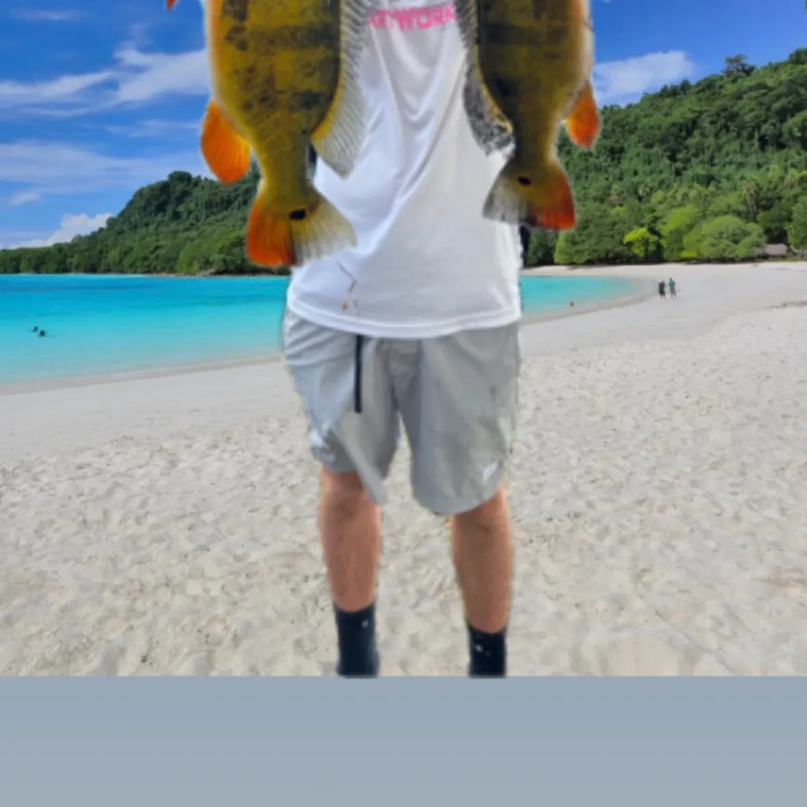 Butterfly peacock bass caught on Fishbrain