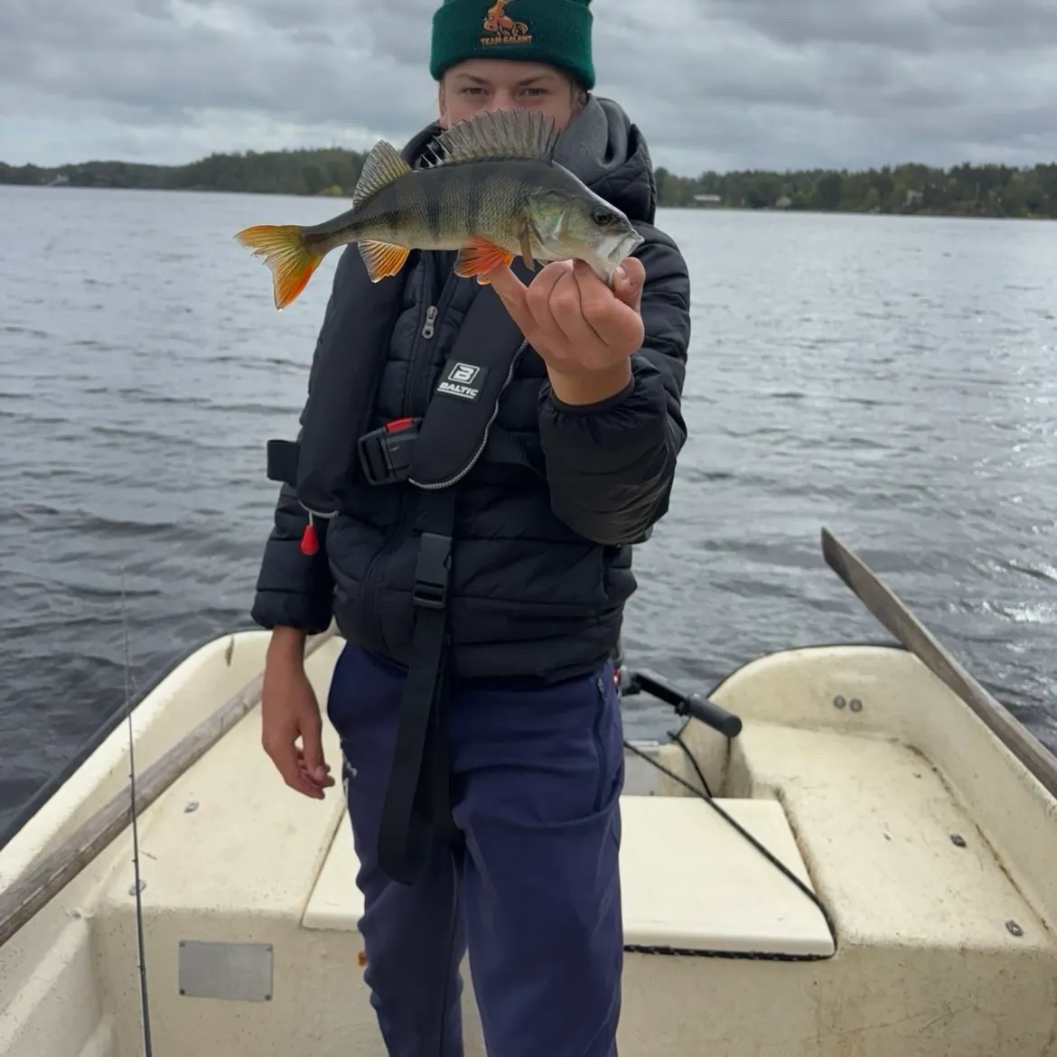 European perch caught on Fishbrain