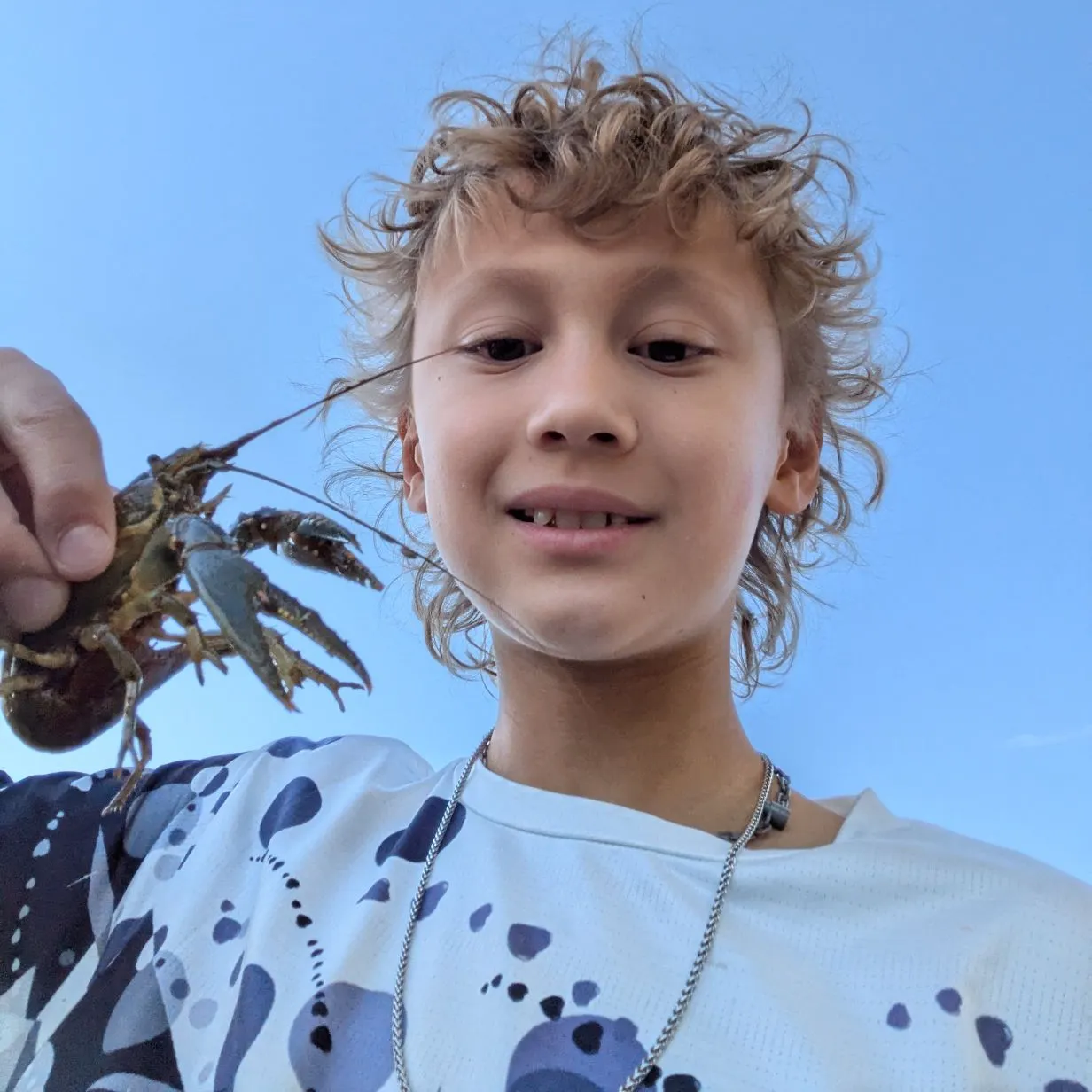 The most recent Virile crayfish catches on Fishbrain