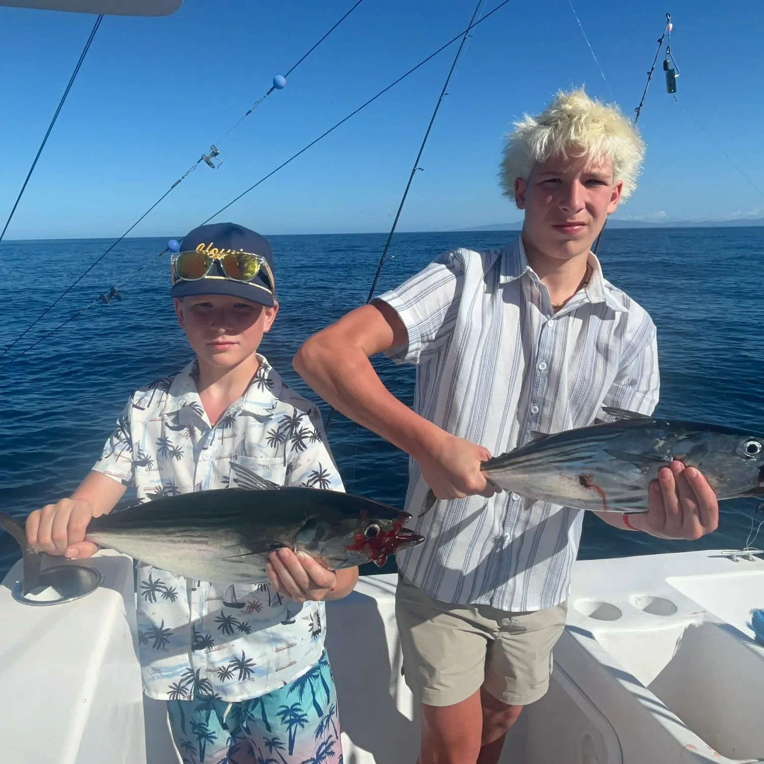 The most recent Skipjack tuna catches on Fishbrain
