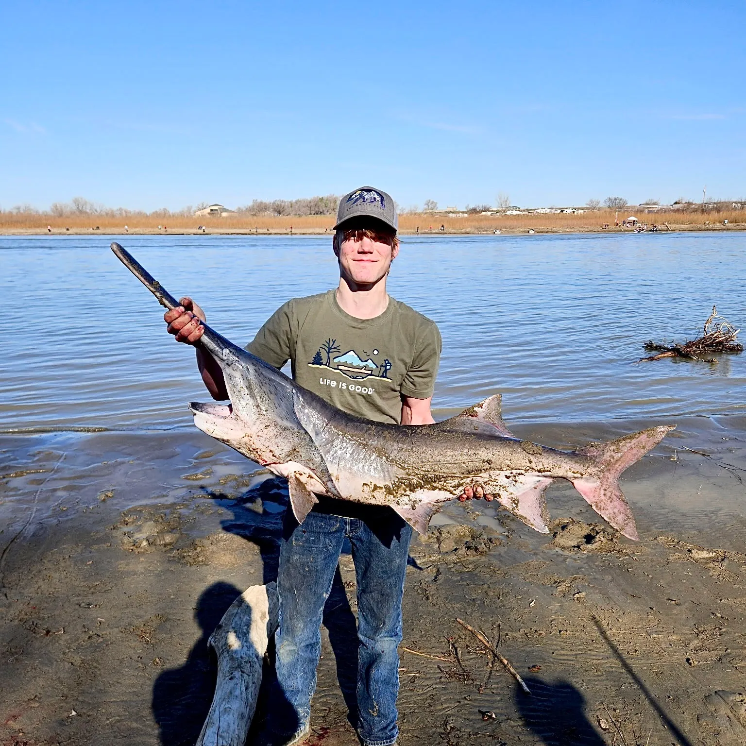 The most recent Paddlefish catches on Fishbrain