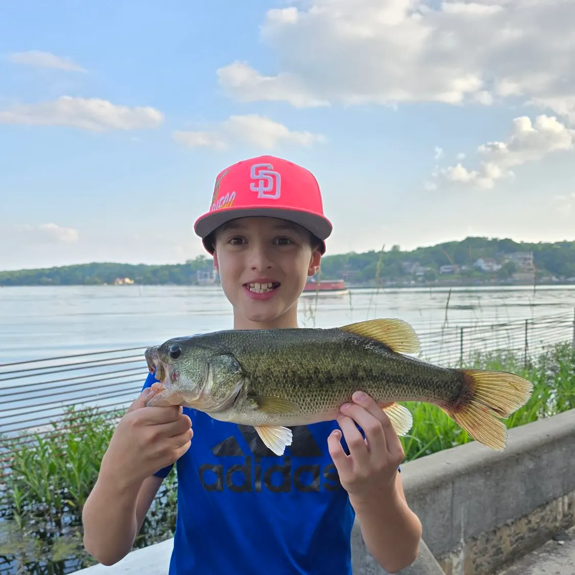 The most recent F1 bass catches on Fishbrain