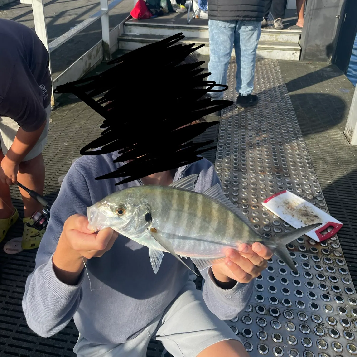 The most recent White trevally catches on Fishbrain