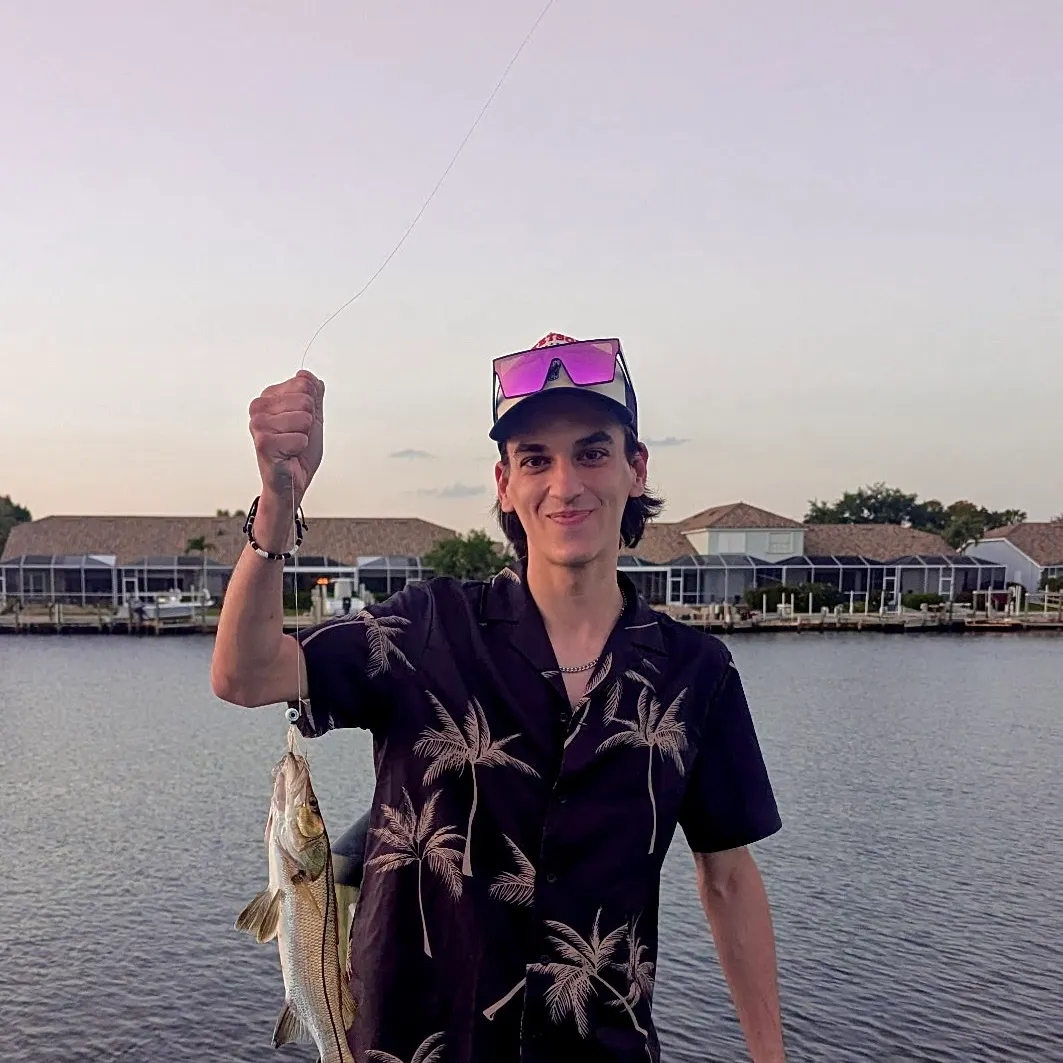 The most recent Tarpon Snook catches on Fishbrain