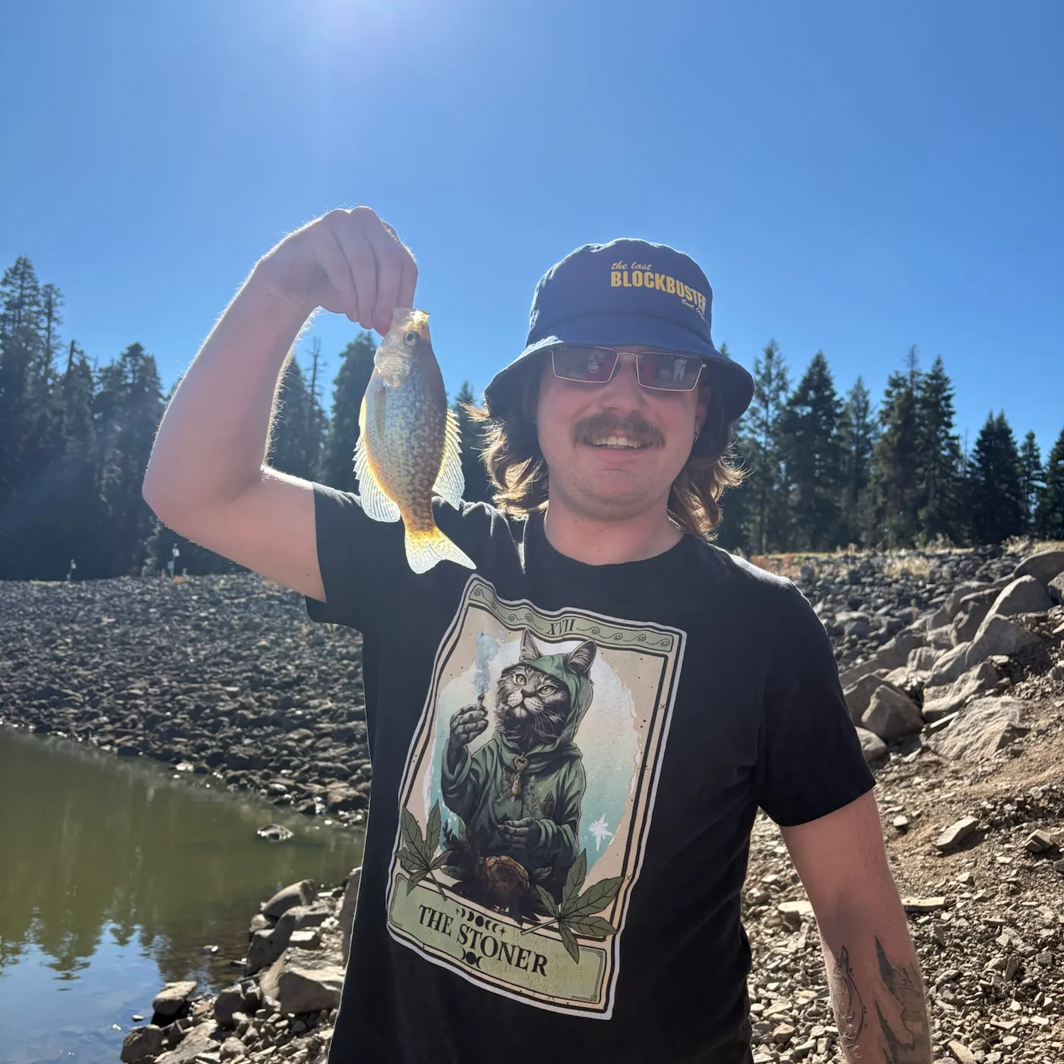 Black crappie caught on Fishbrain