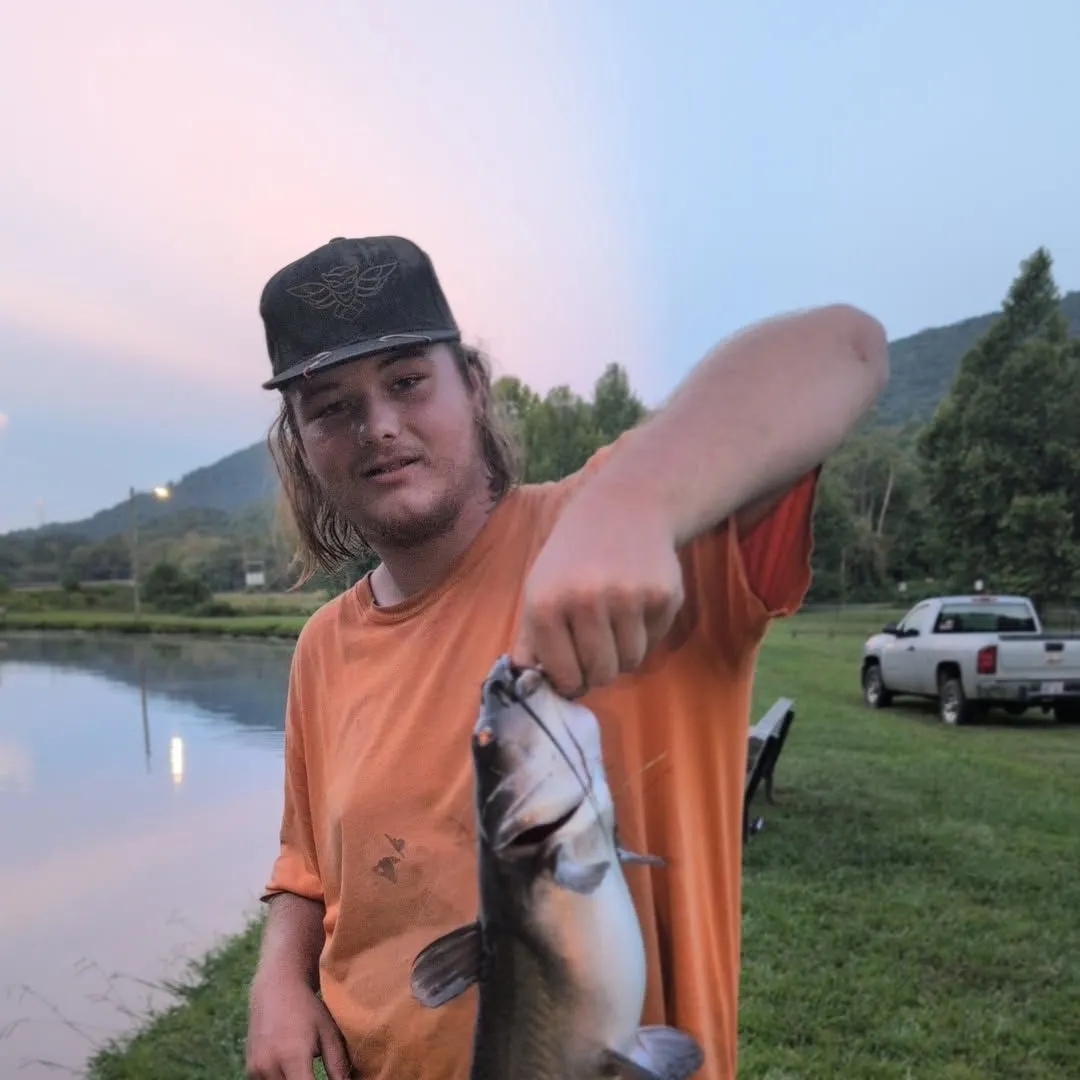 Channel catfish caught on Fishbrain