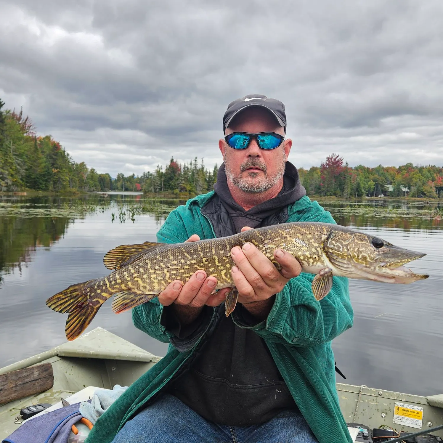 Northern pike caught on Fishbrain