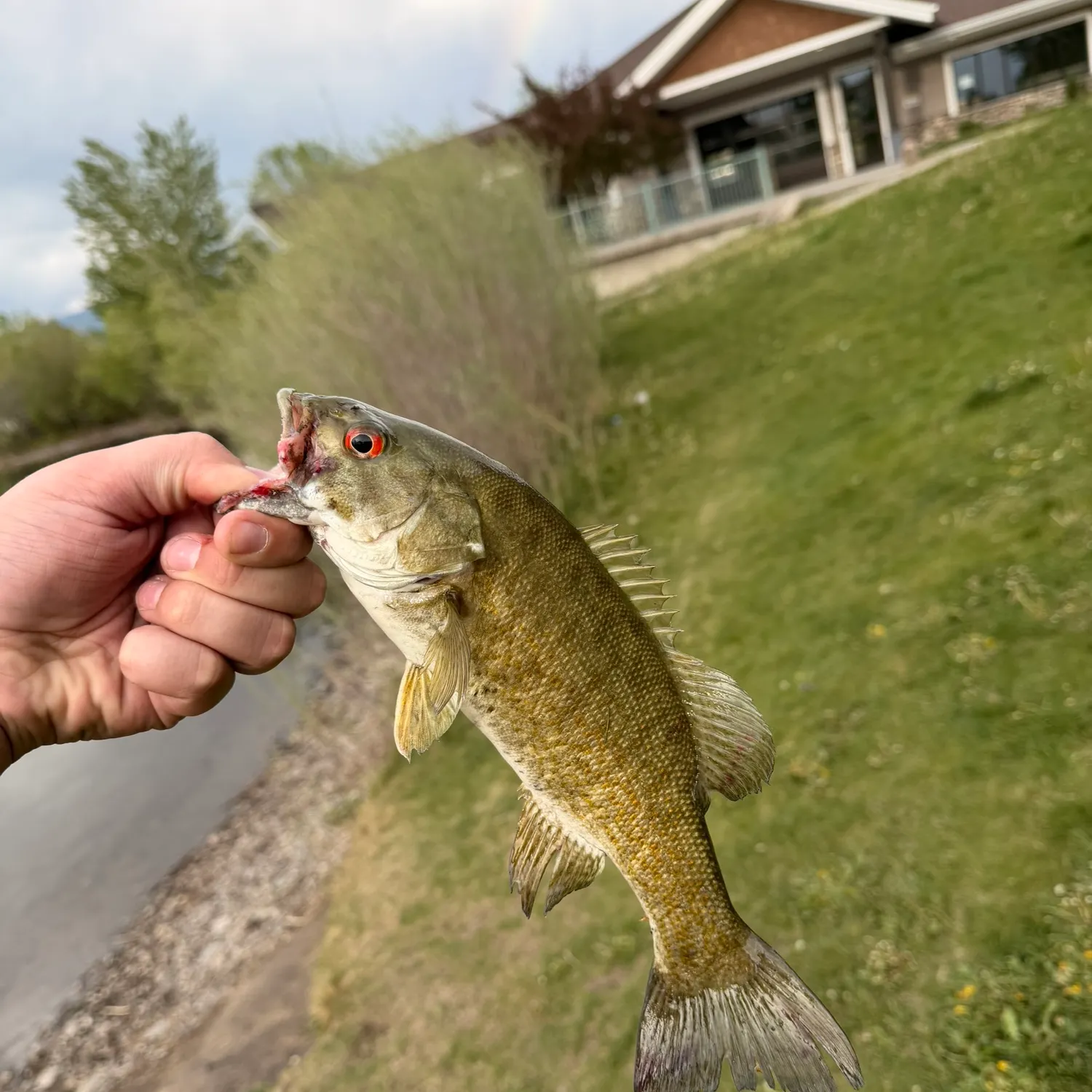 catch