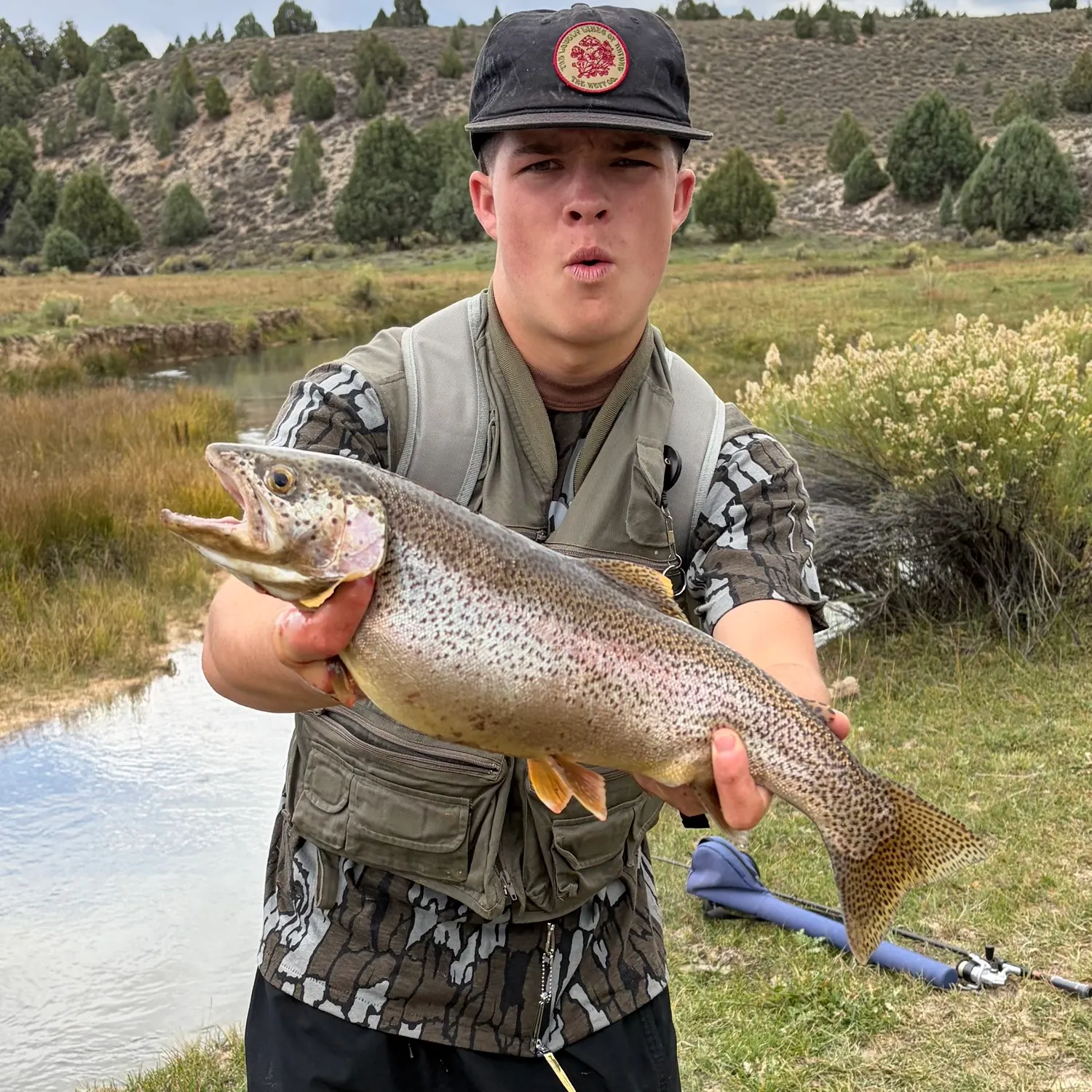 Rainbow trout caught on Fishbrain