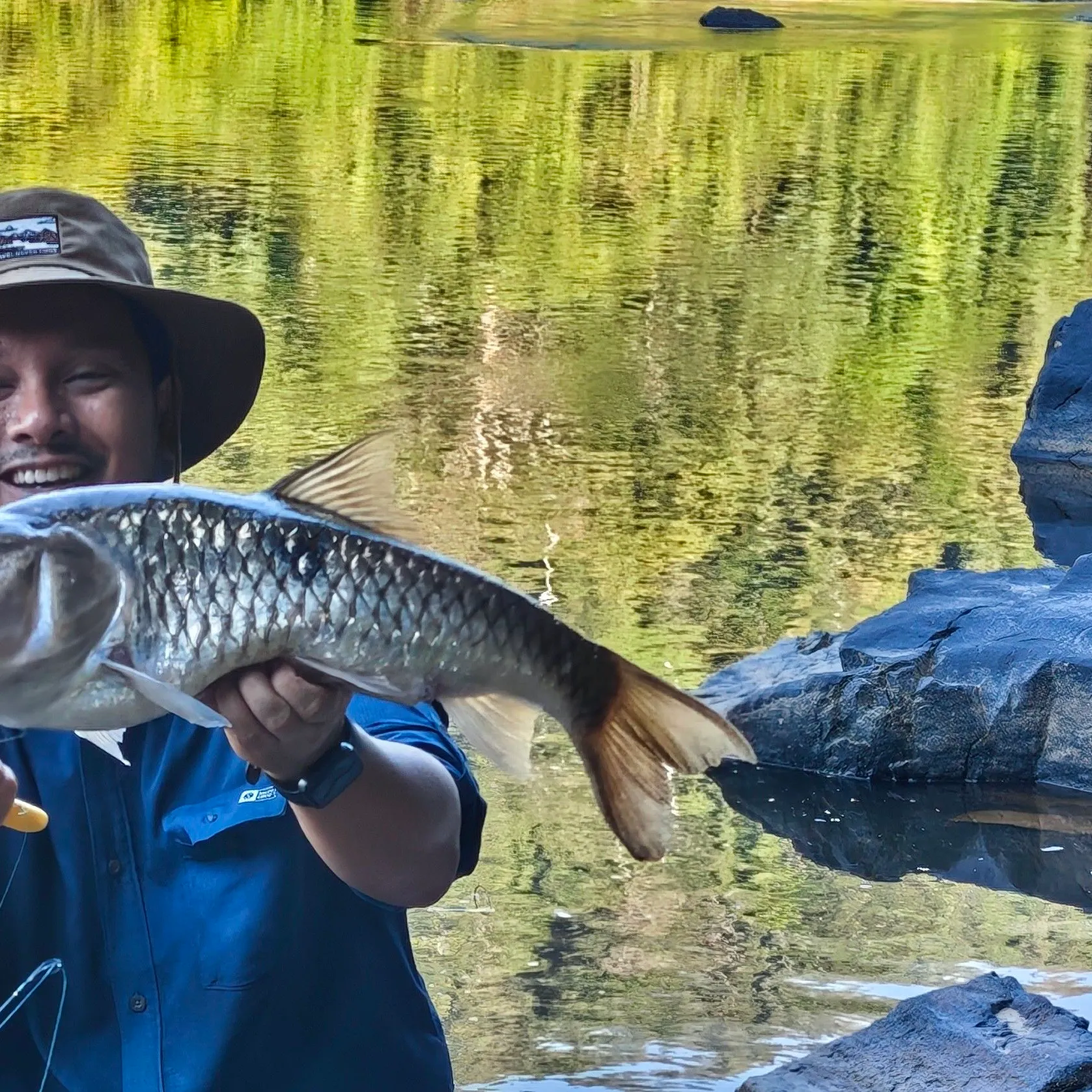 The most recent Hampala barb catches on Fishbrain