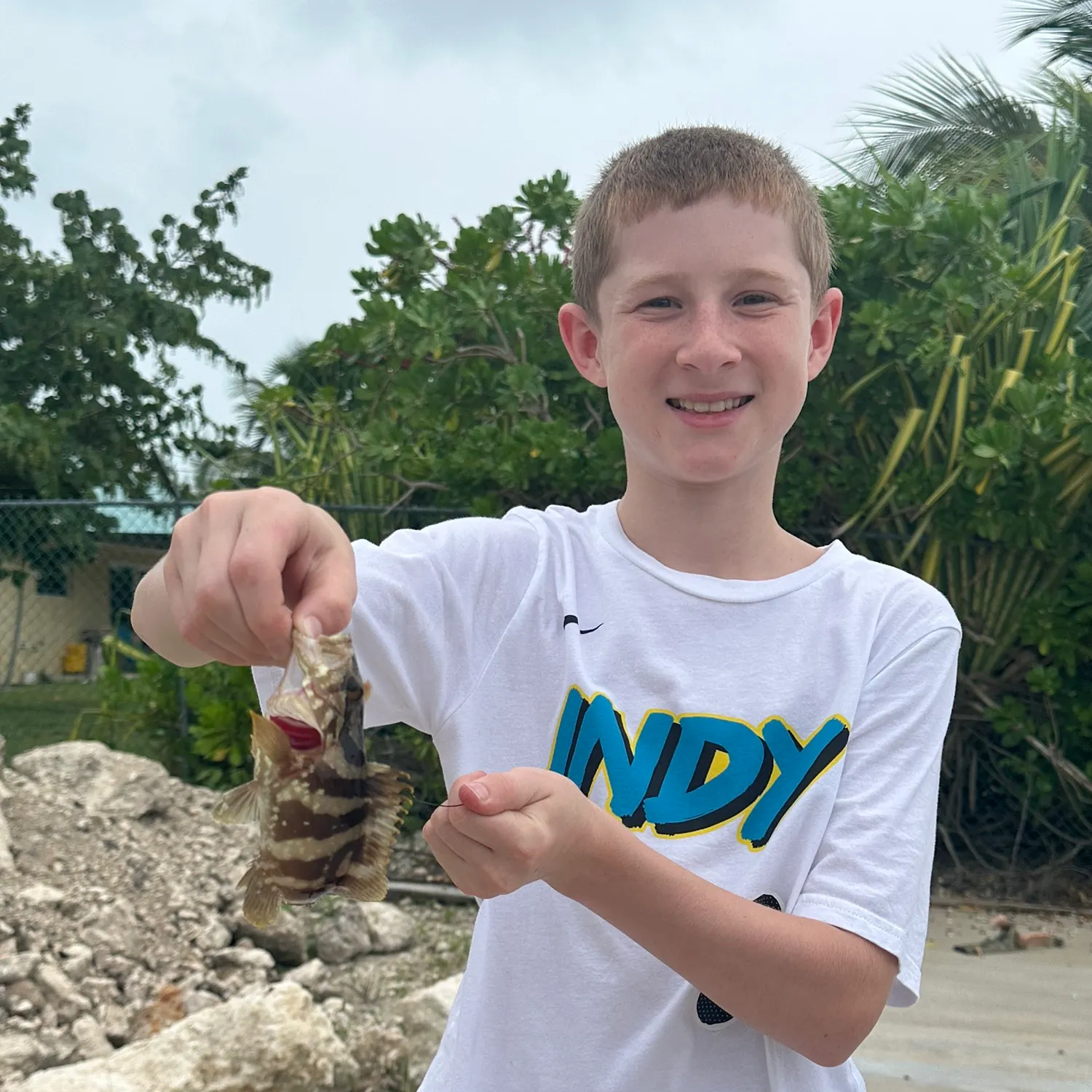 The most recent Nassau grouper catches on Fishbrain
