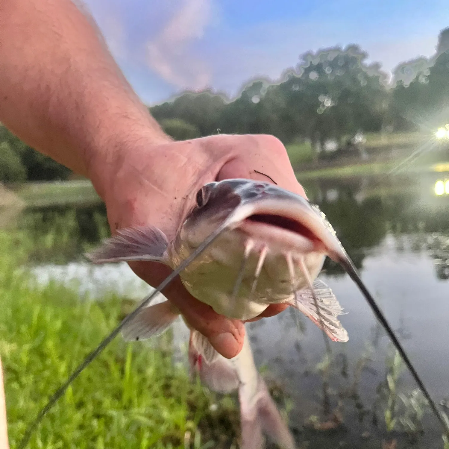 catch
